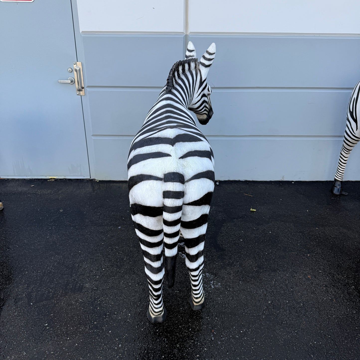 Standing Zebra Life Size Statue