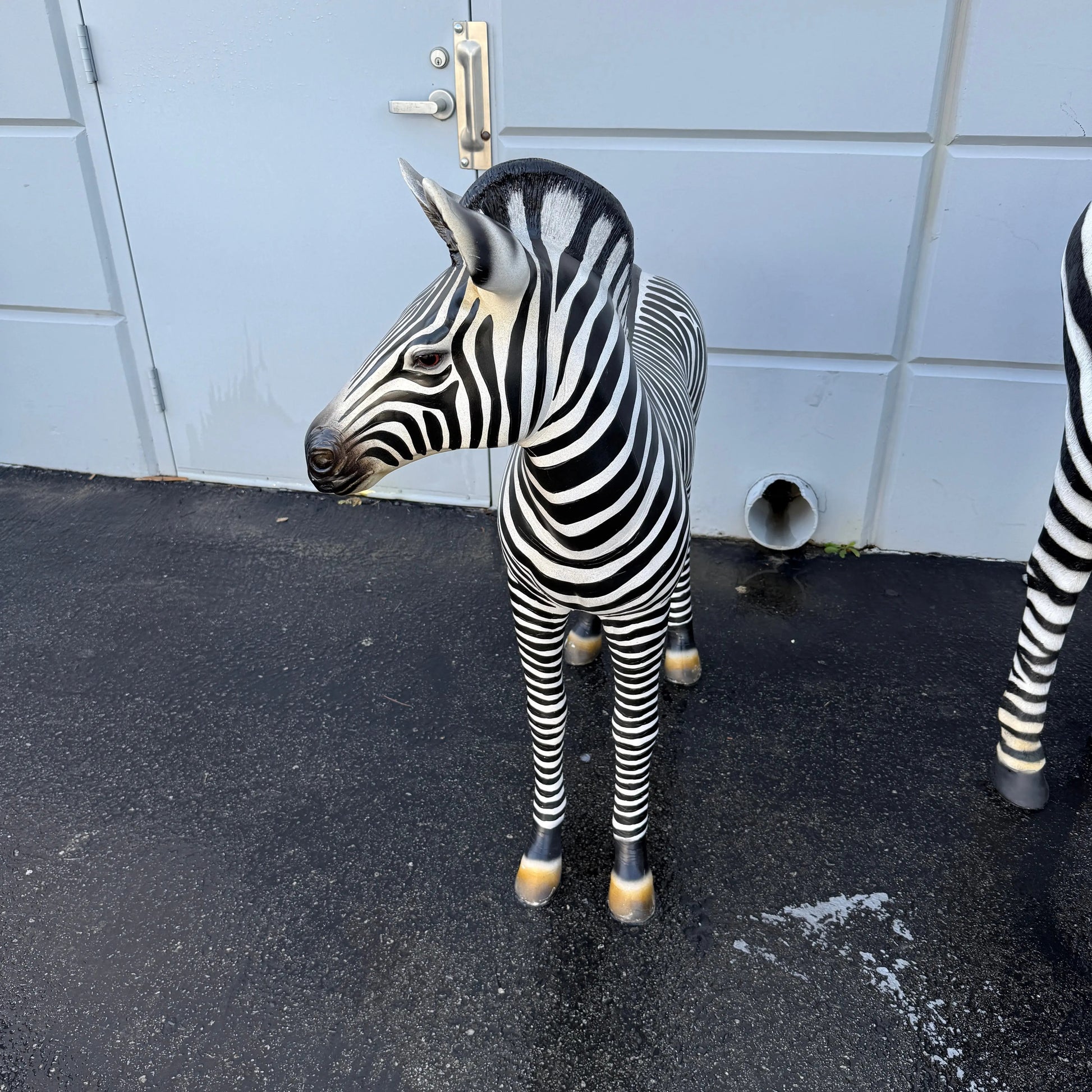 Baby Zebra Statue A0227-110099-H