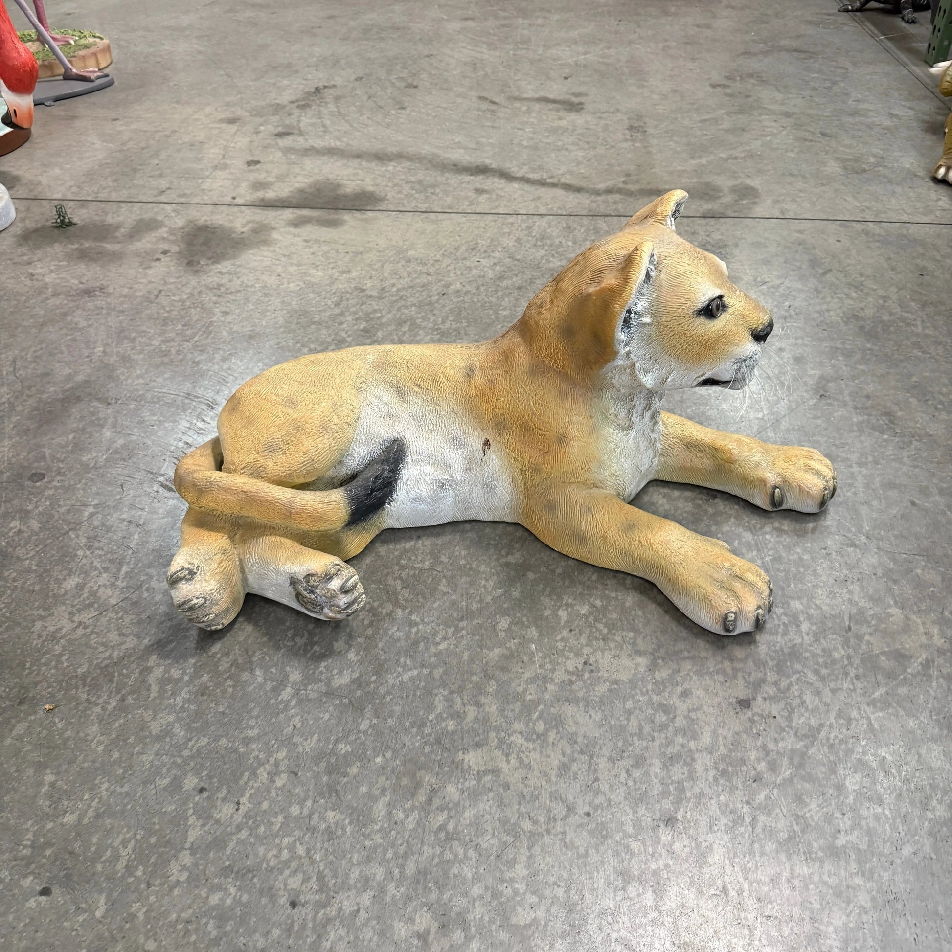 Lion Cub Laying Statue A0140-080116-H