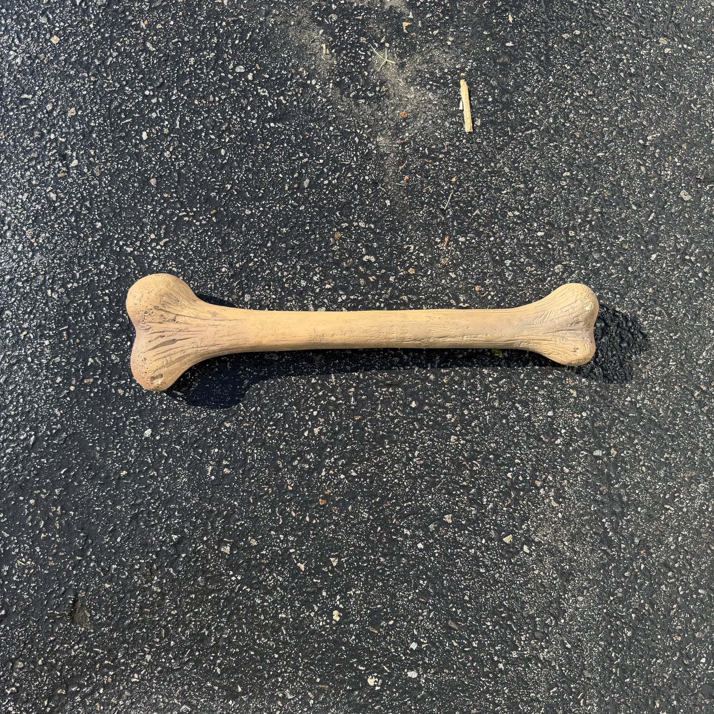Small Dinosaur Bone Statue