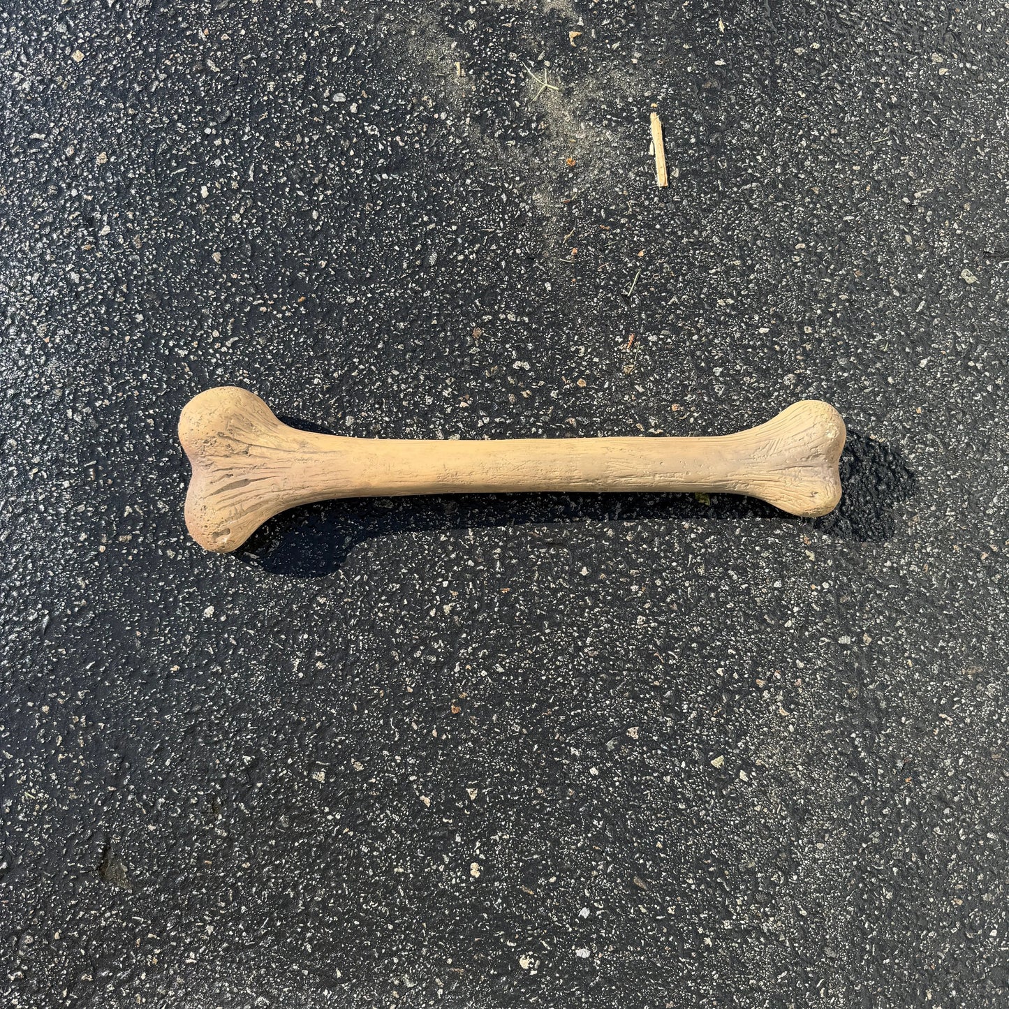 Small Dinosaur Bone Statue A0584-R042-PT