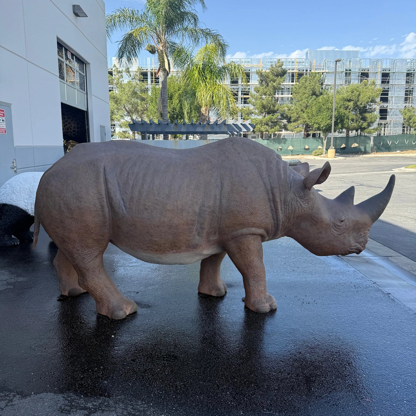 Rhinoceros Life Size Statue A0505-140042-H