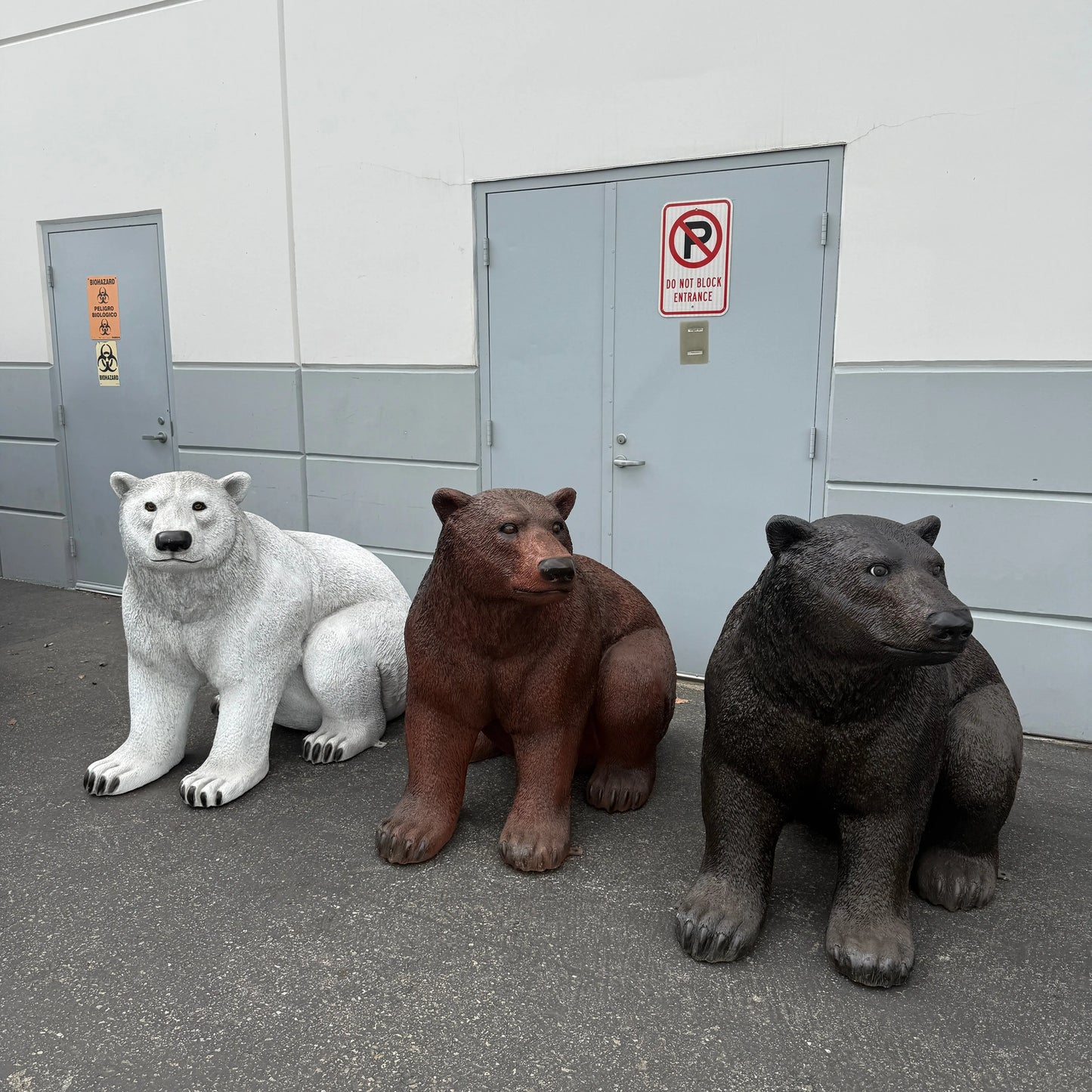 Sitting Light Brown Bear Statue A0698G-4003-1-T