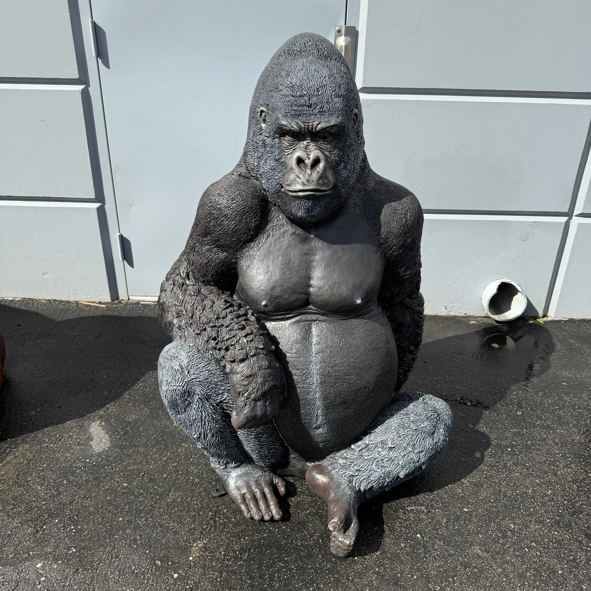 Small Silver Back Gorilla Statue A0131-090009-H