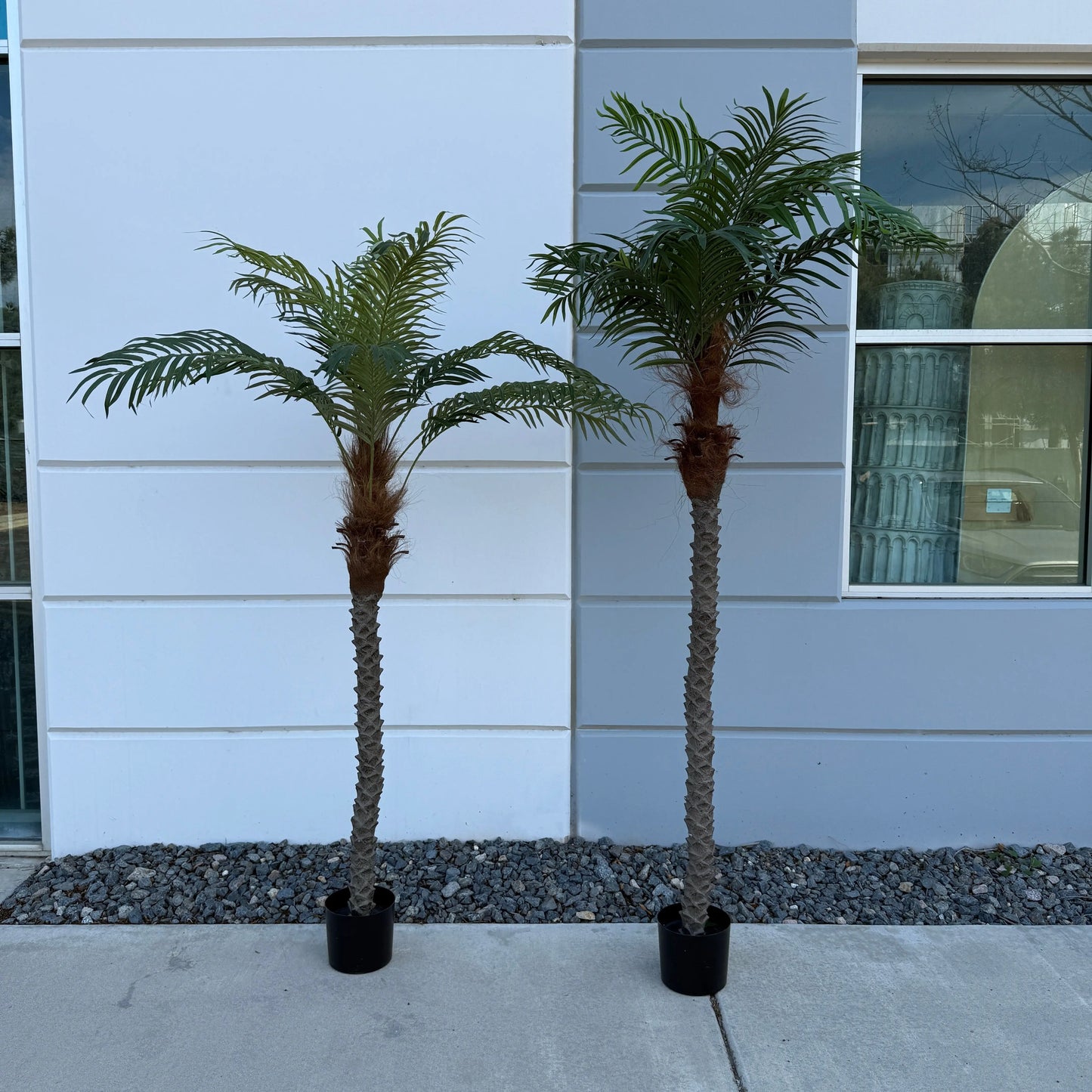 8ft Large Palm Tree PALM4