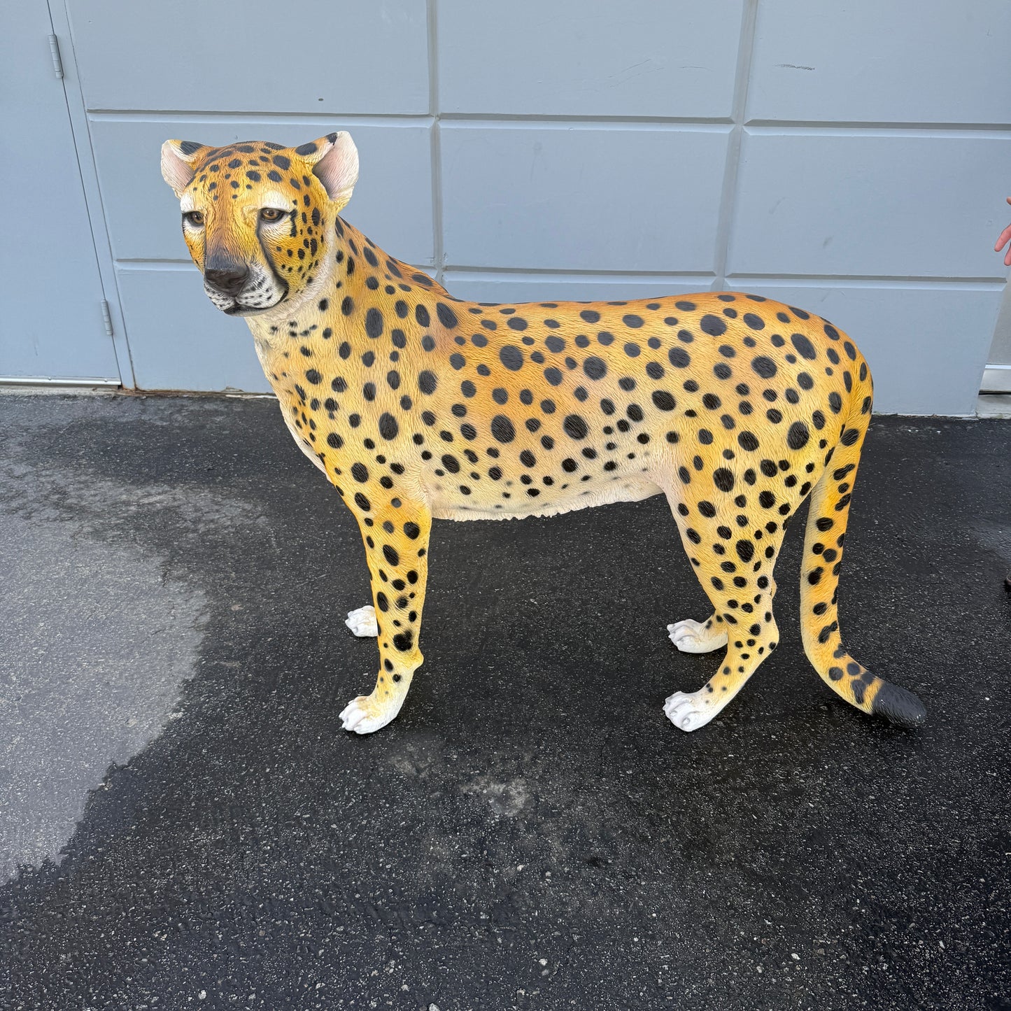 Cheetah Statue