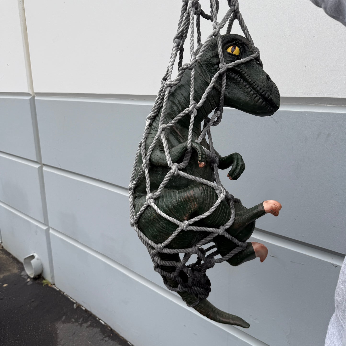 Hanging Baby T-Rex Dinosaur Statue