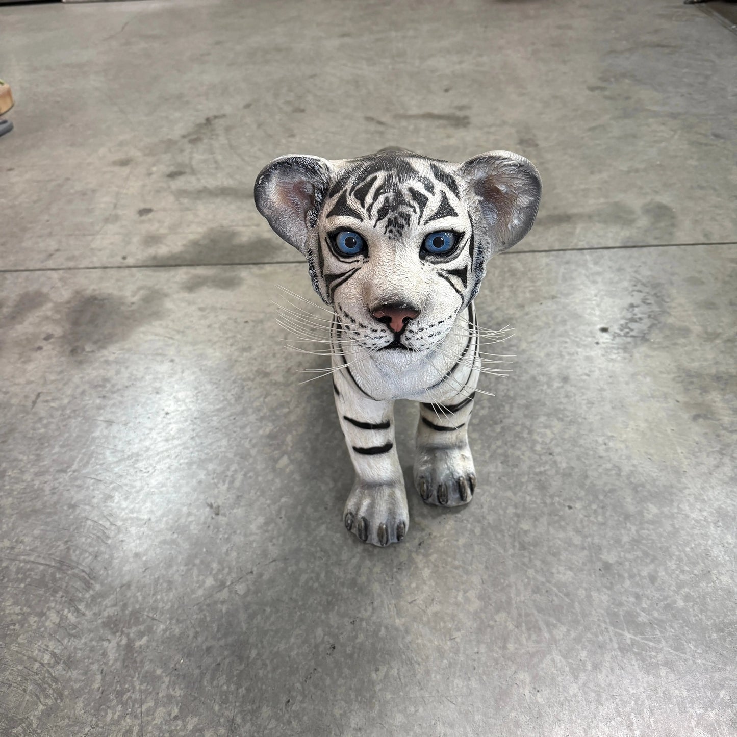 Siberian Tiger Cub Standing Statue A0313-110124-H