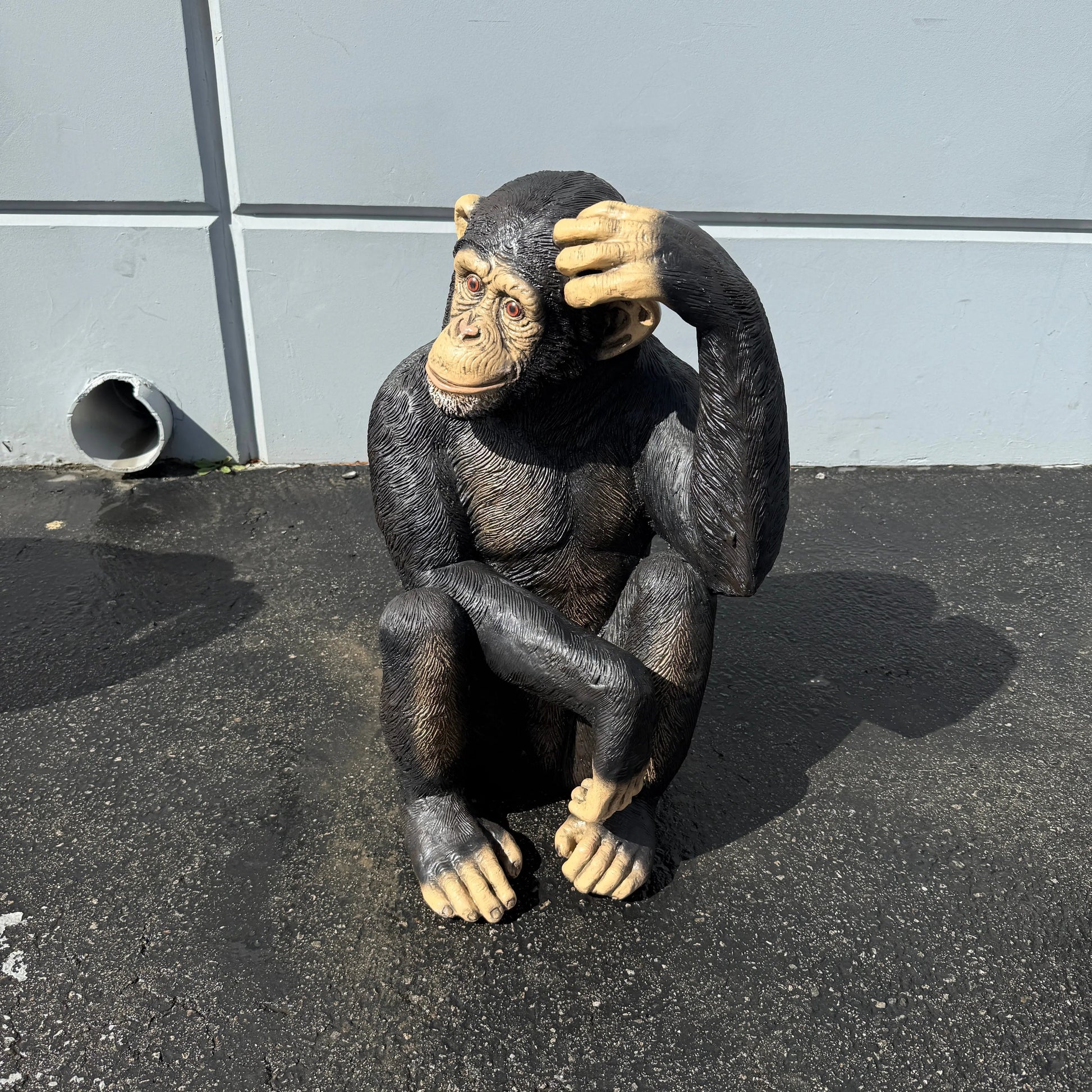Sitting Monkey Statue A0205-110026-H