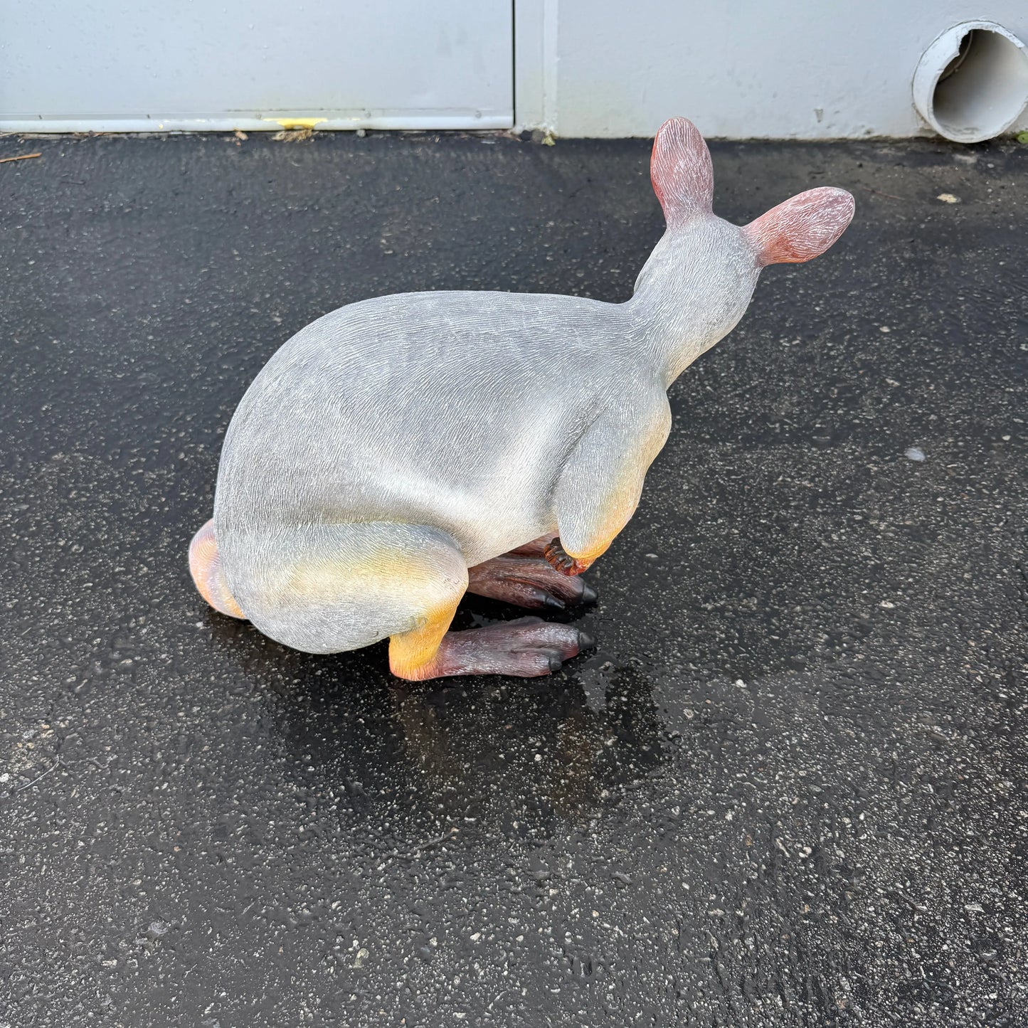 Crouching Wallaby Kangaroo Statue A0783-190062-H