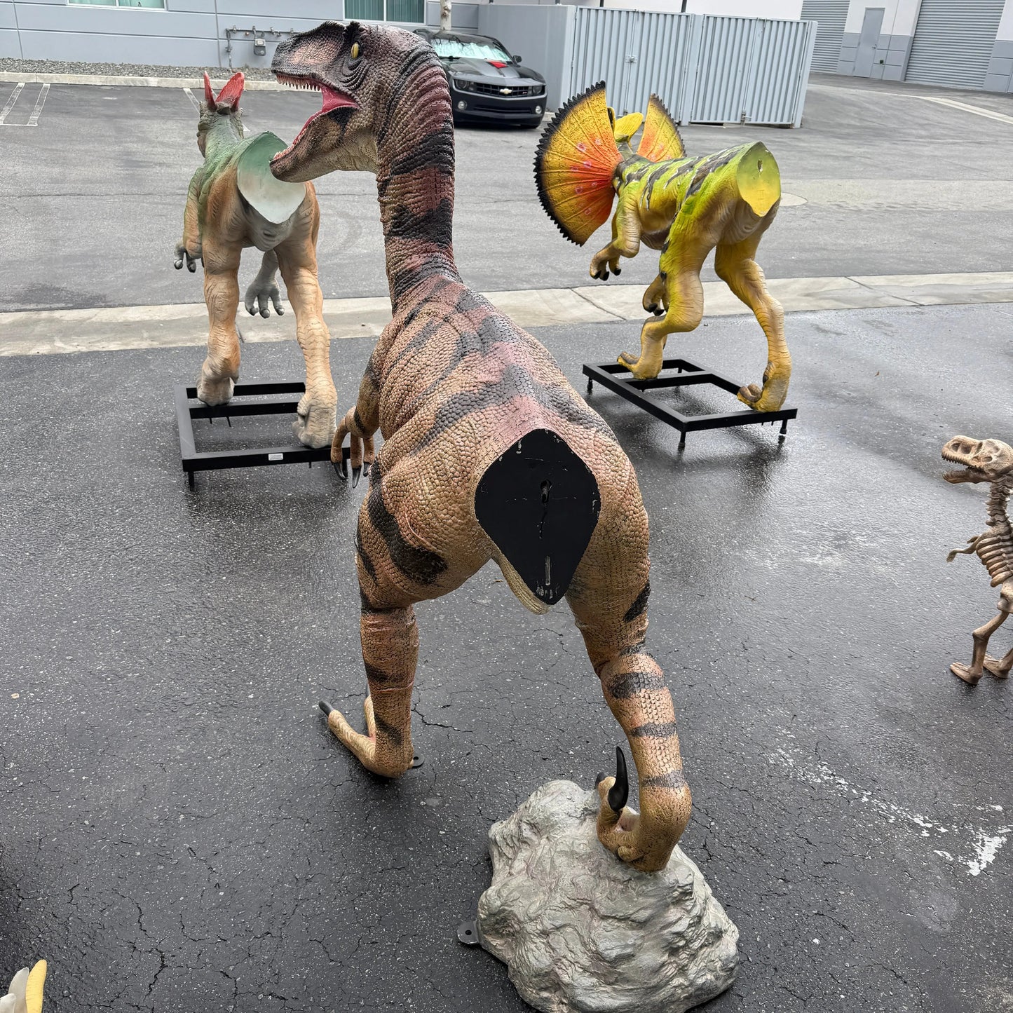 Brown Velociraptor Dinosaur Life Size Statue A0275GC-110015-H