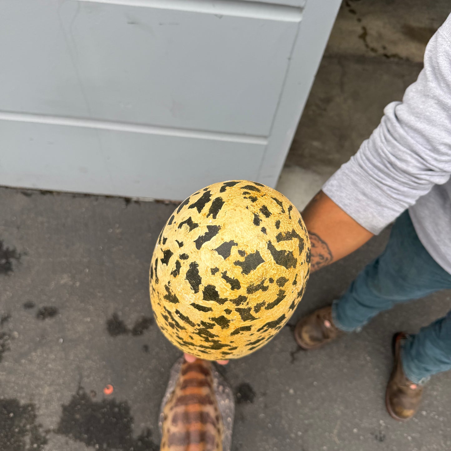Theropod Dinosaur Egg Statue
