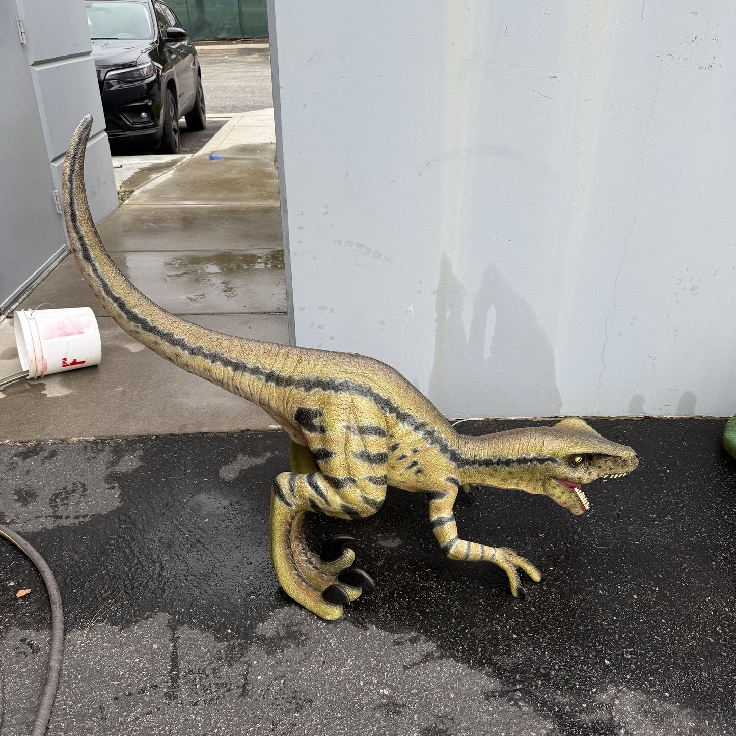 Brown Velociraptor Baby Dinosaur Statue