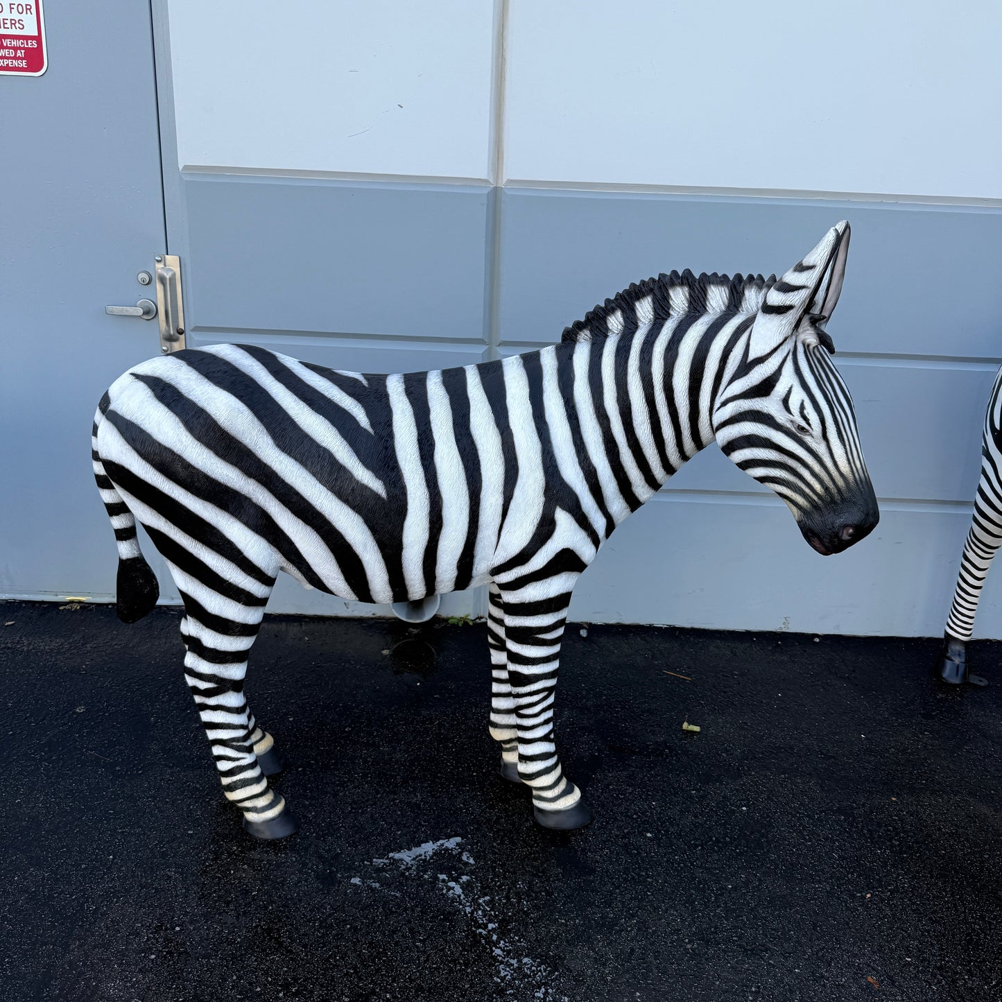 Standing Zebra Life Size Statue