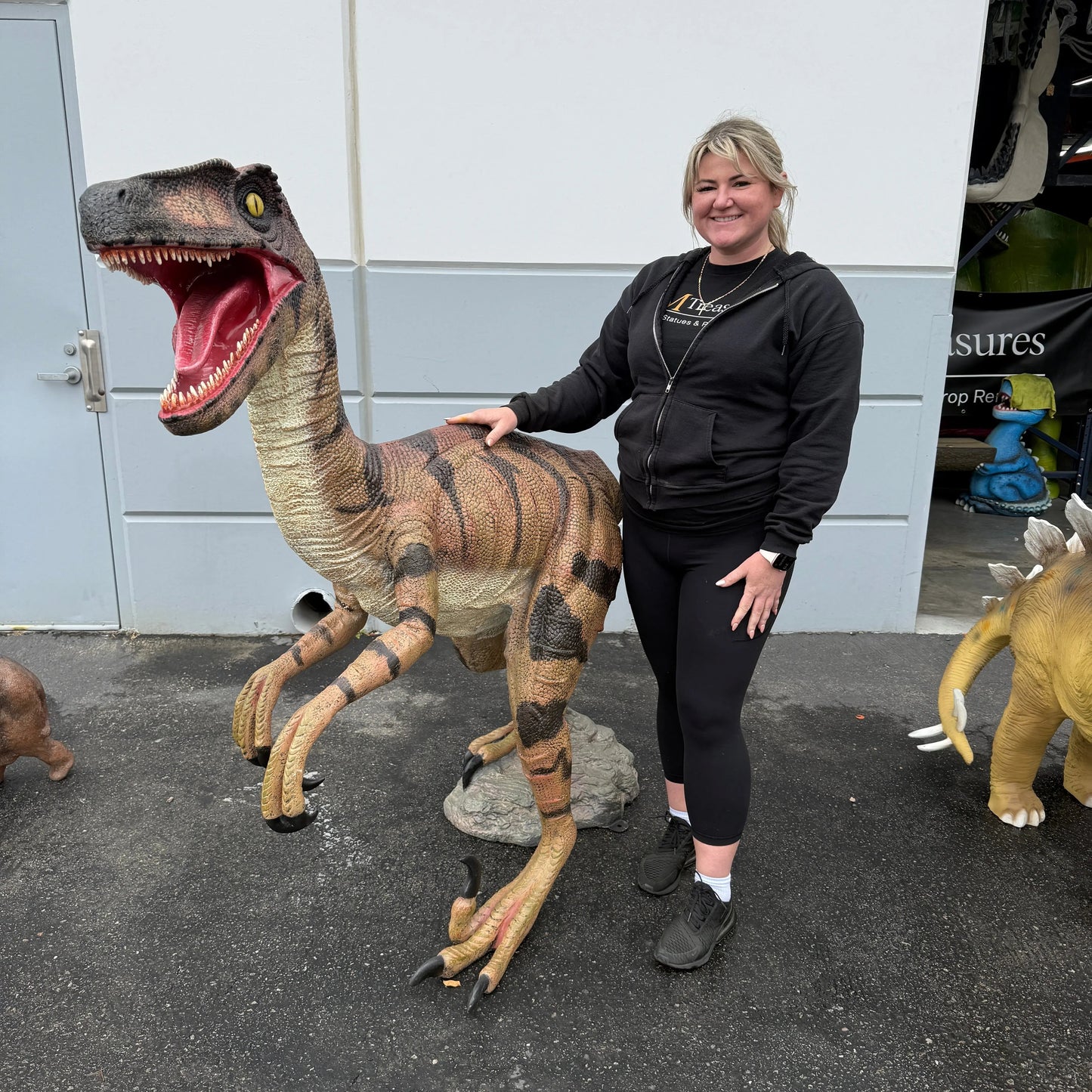 Brown Velociraptor Dinosaur Life Size Statue A0275GC-110015-H