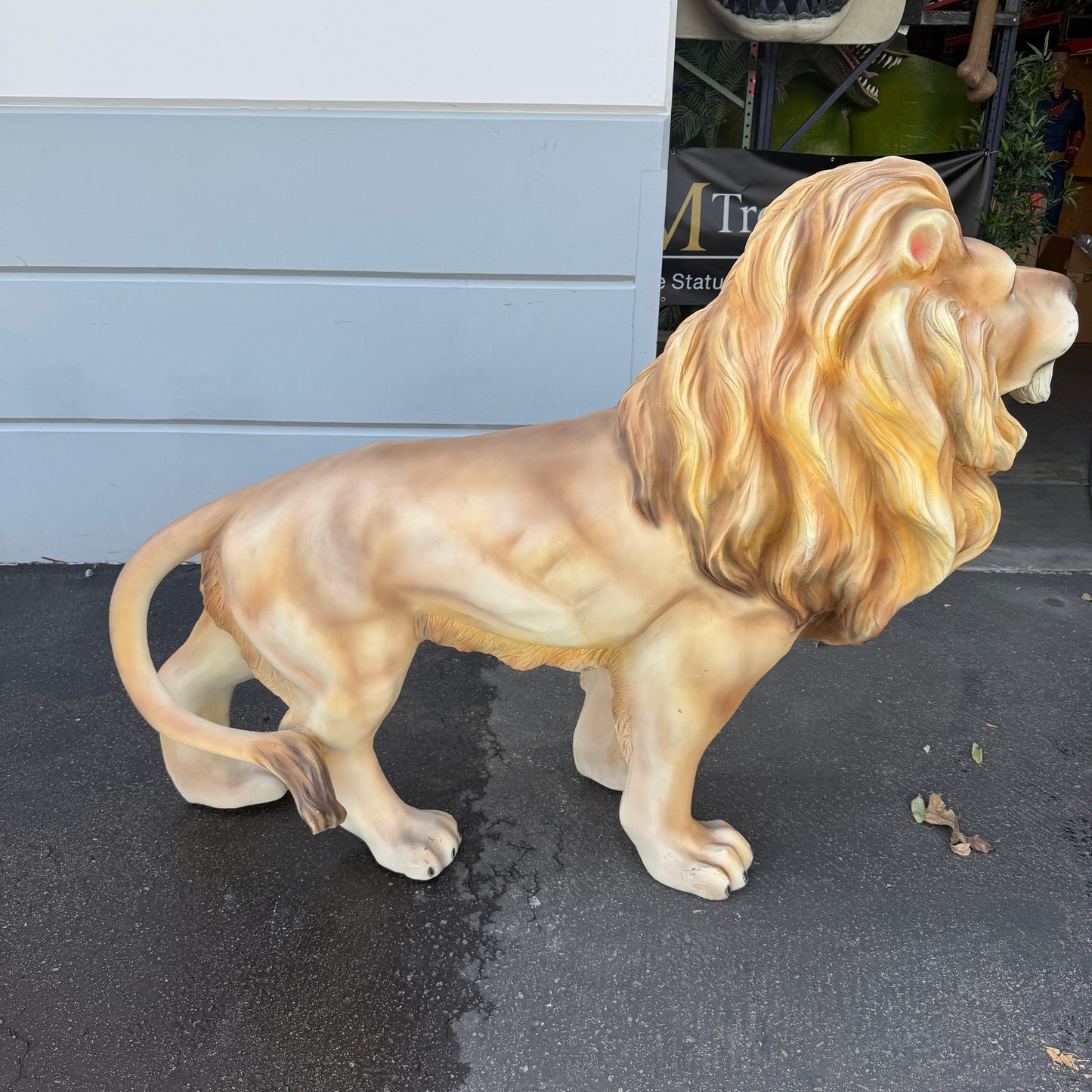 Lion Life Size Statue