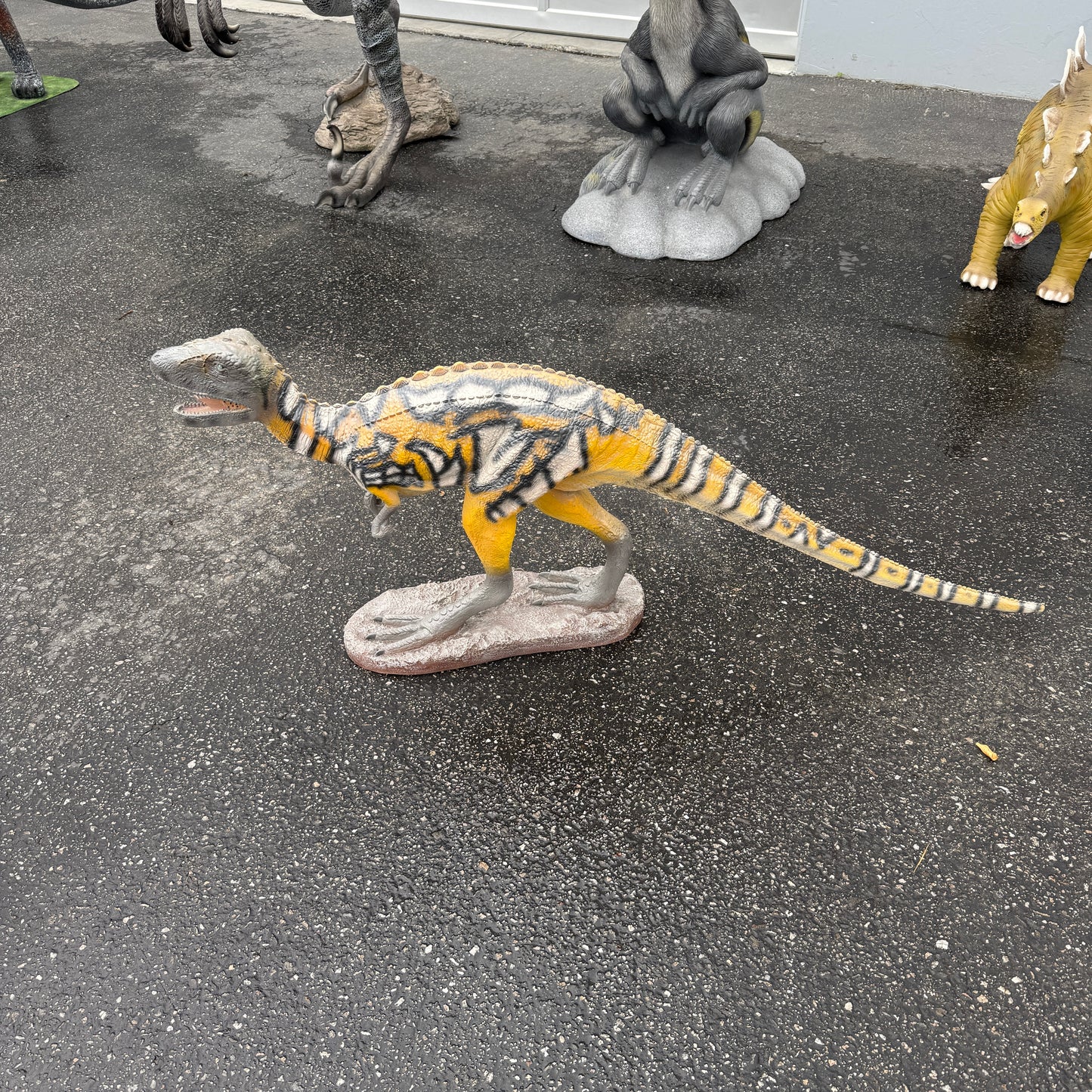 Baby Australovenator Life Size Statue