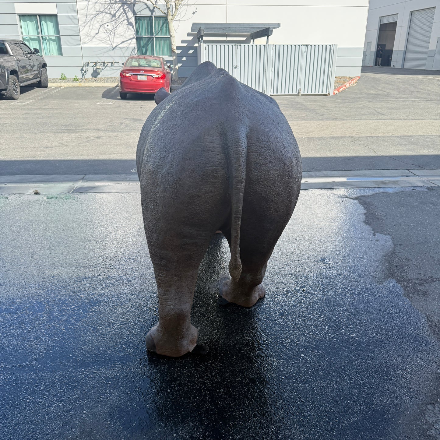 Rhinoceros Life Size Statue