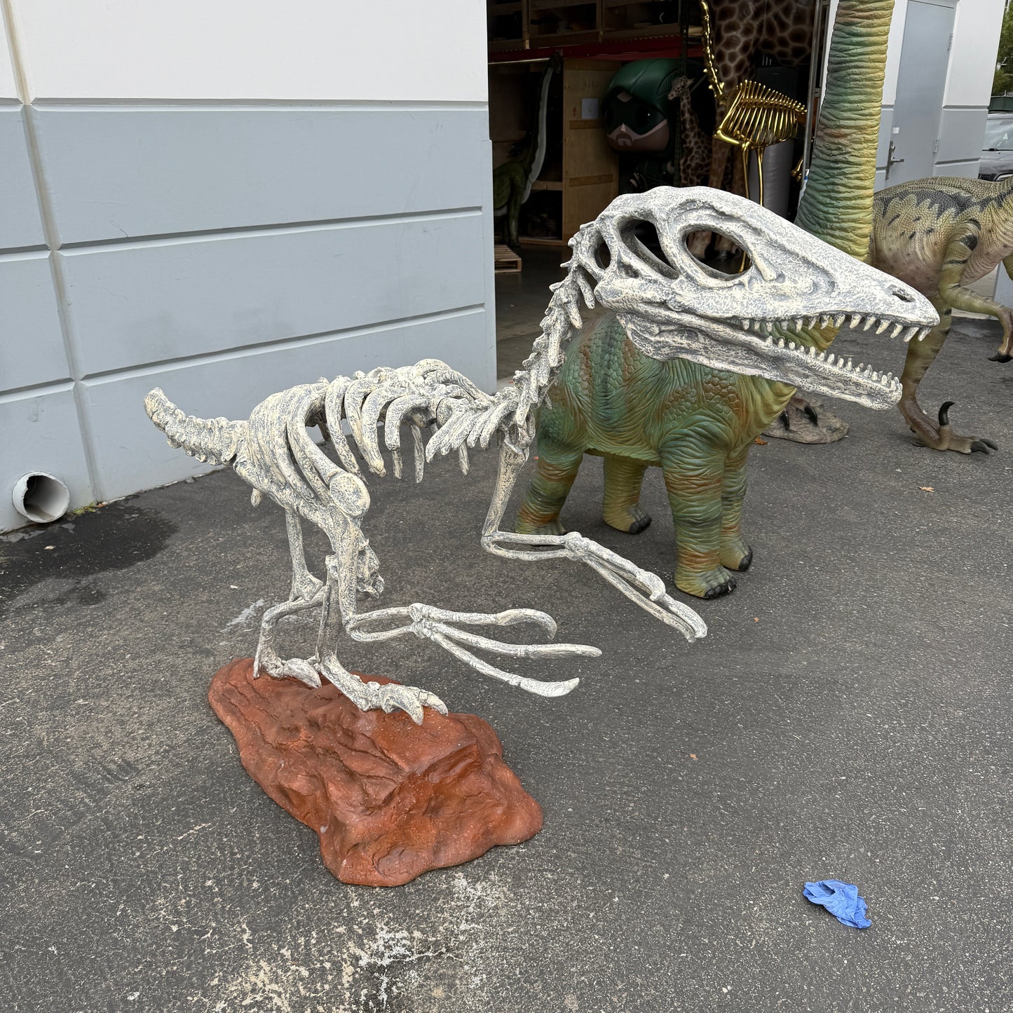 Deinonychus Dinosaur Skeleton Statue