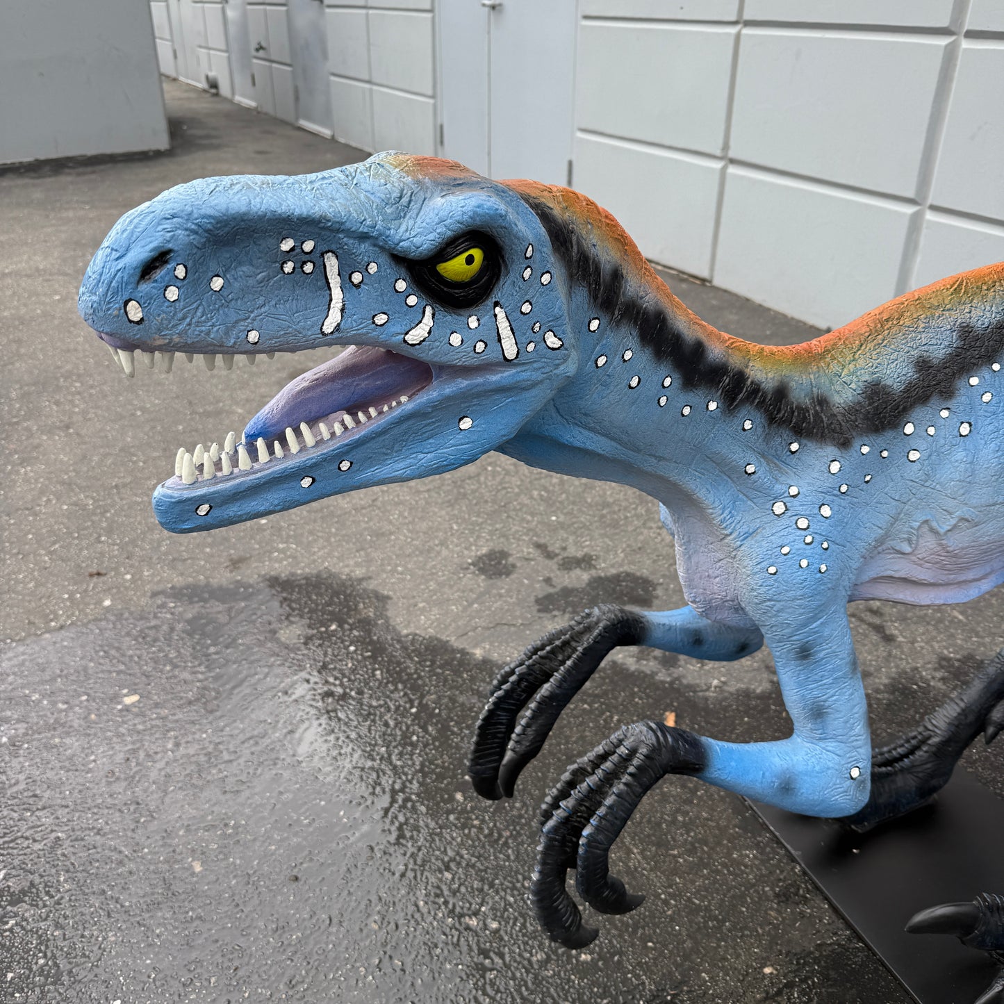 Blue Deinonychus Dinosaur Statue