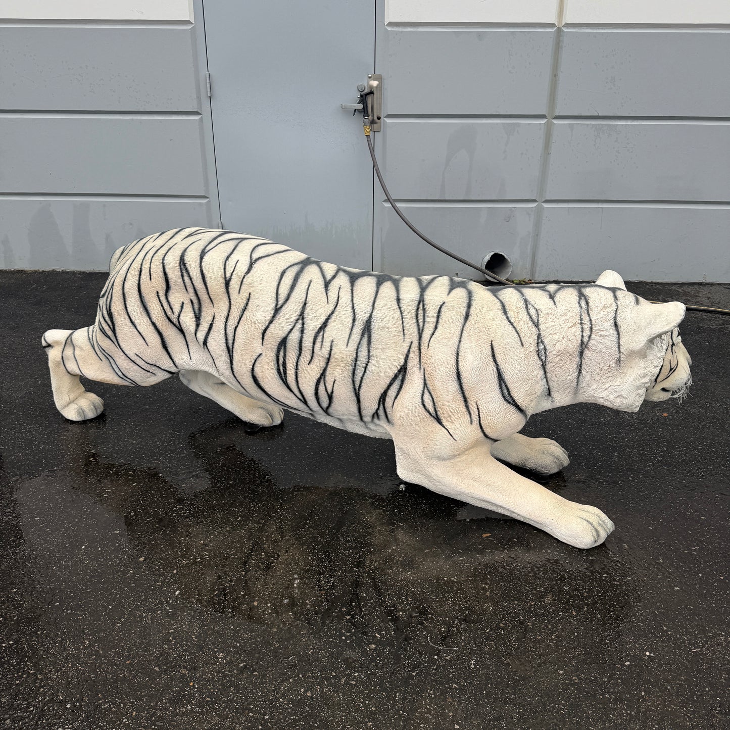 Crouching Siberian Tiger Statue