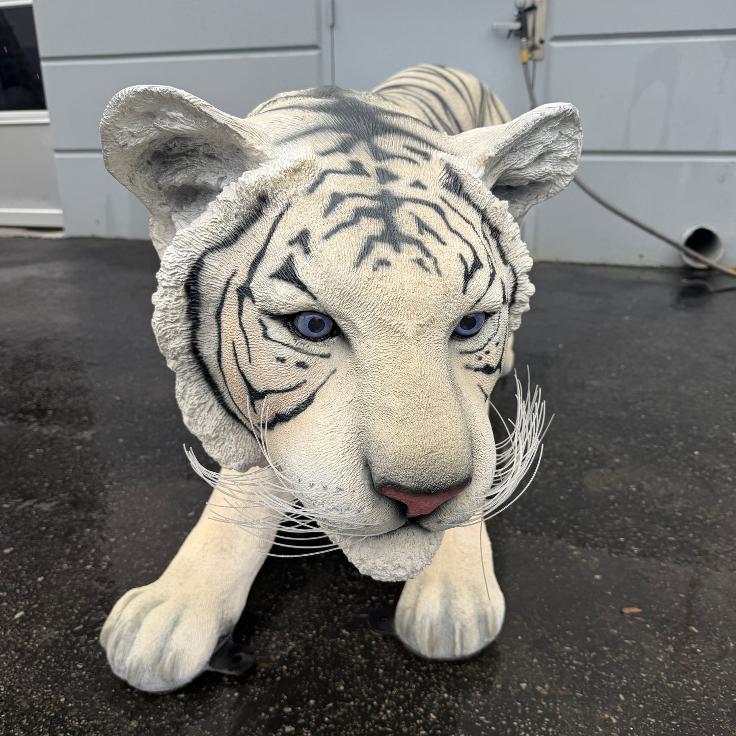 Crouching Siberian Tiger Statue