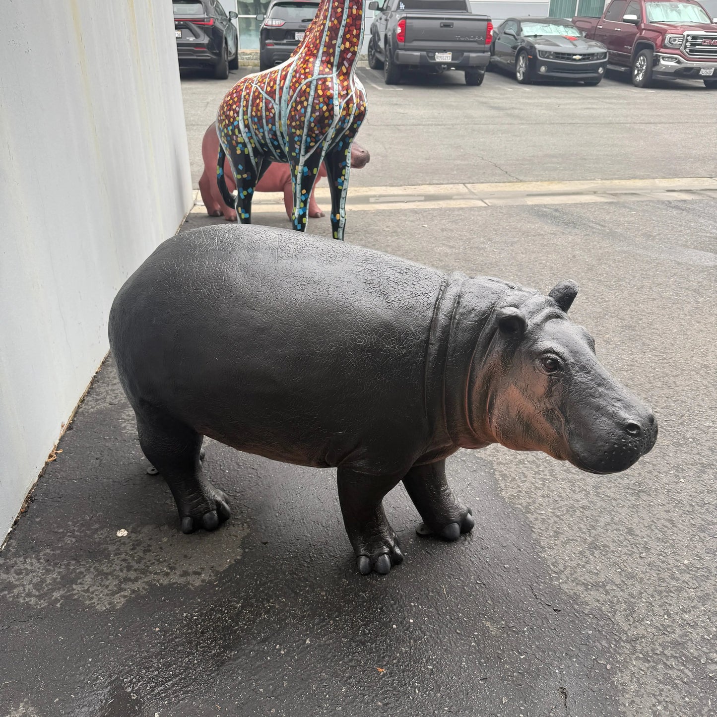 Baby Hippo Statue A0283-110087-H