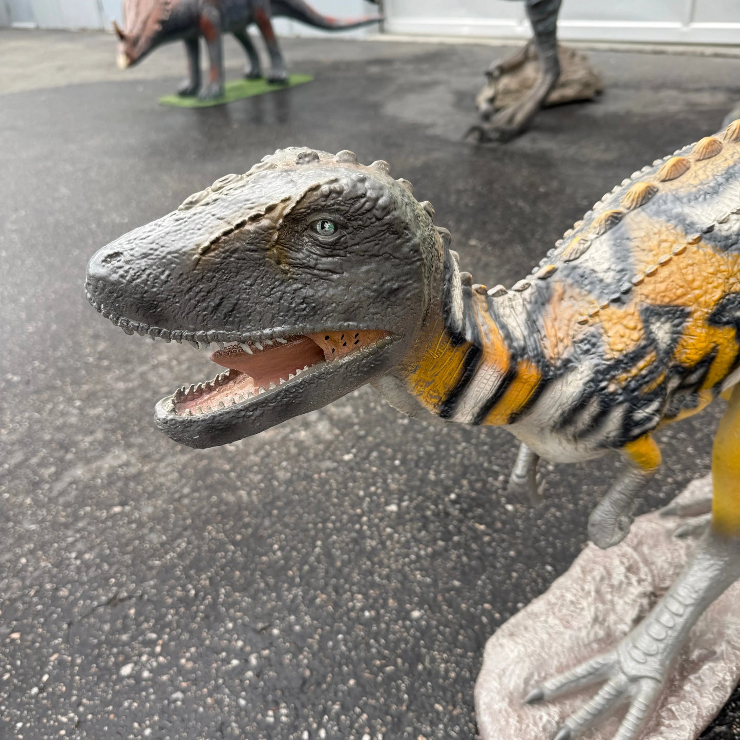 Baby Australovenator Life Size Statue A0816S-210079-H