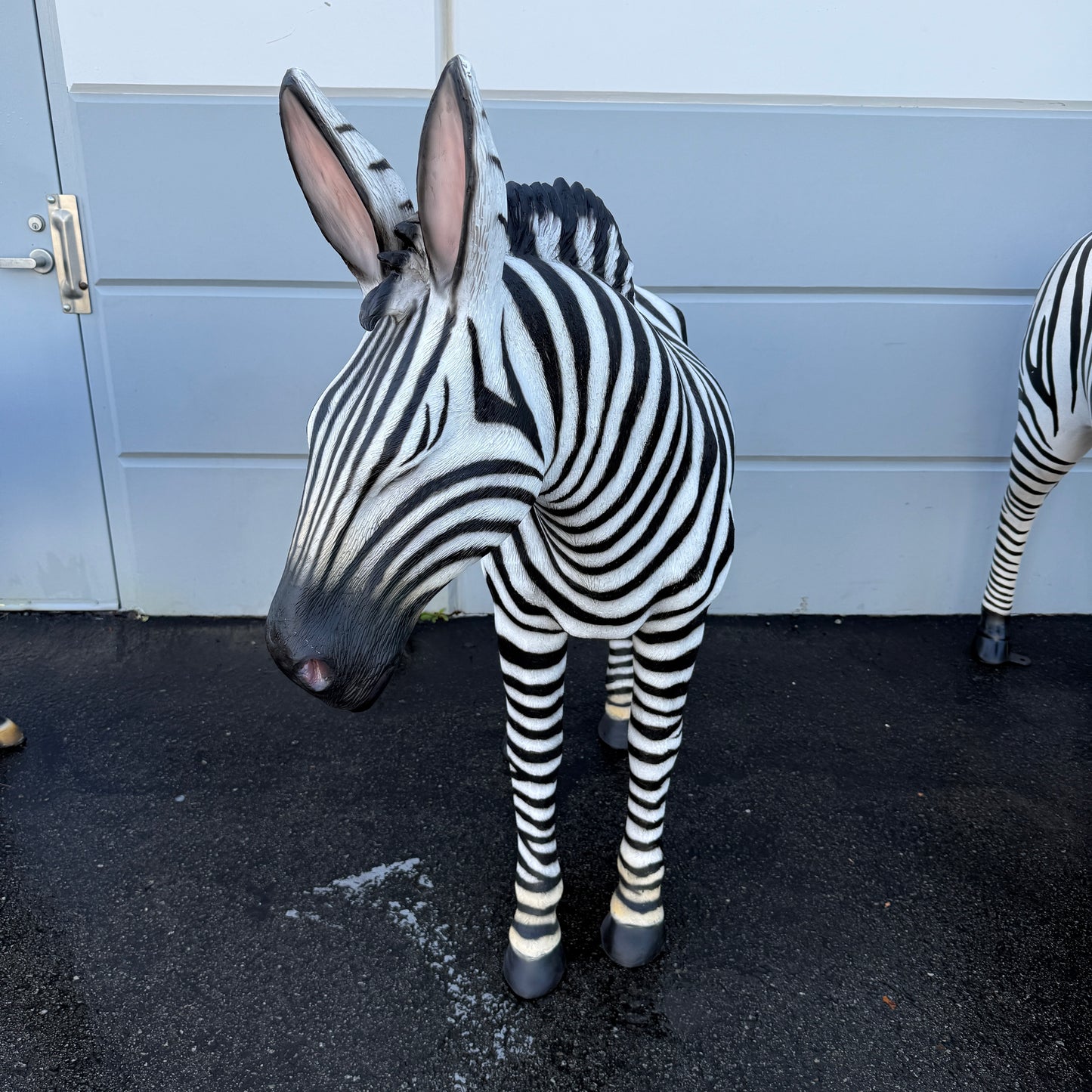 Standing Zebra Life Size Statue