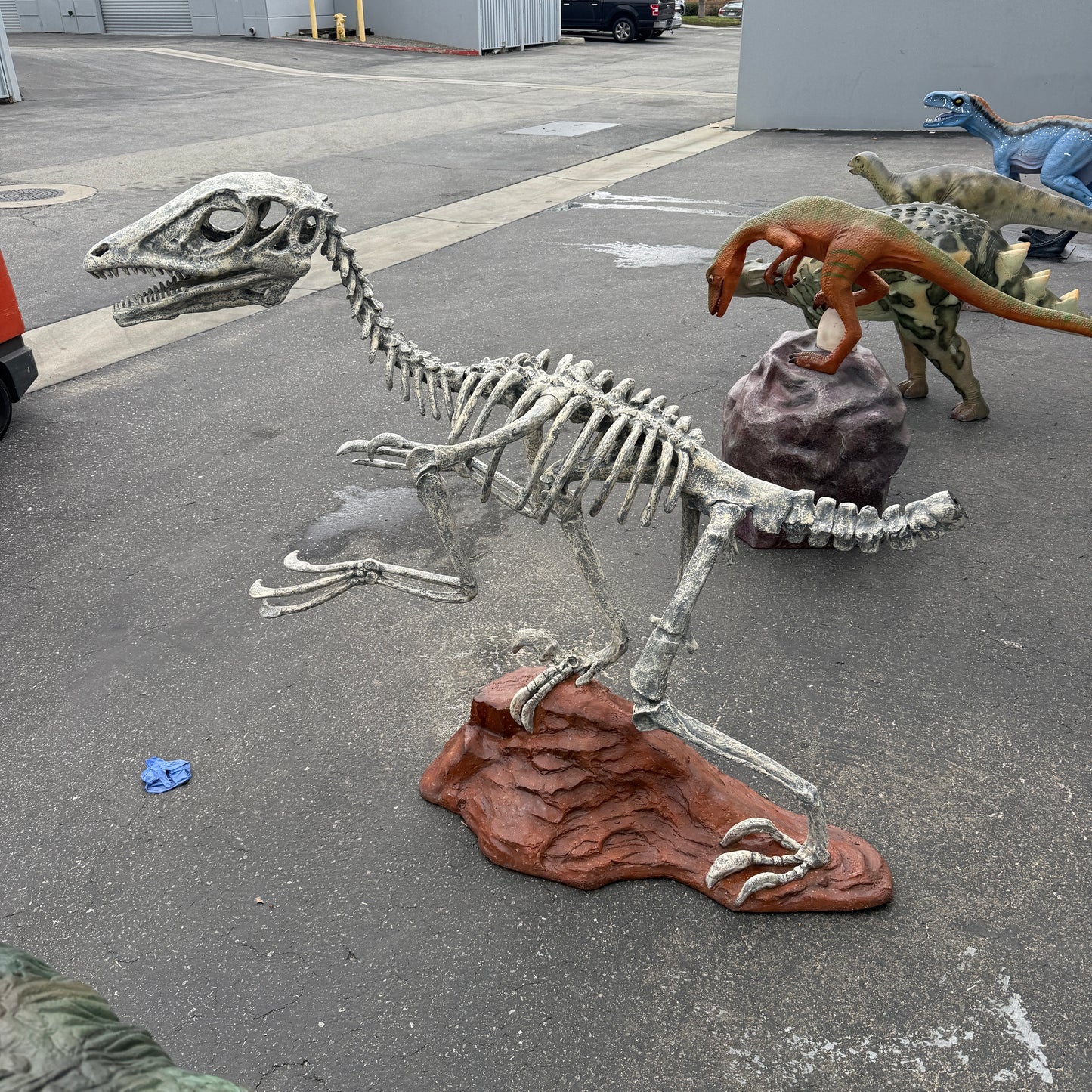 Deinonychus Dinosaur Skeleton Statue