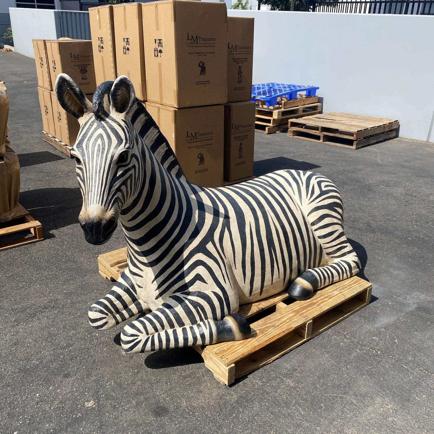 Zebra Resting Life Size Statue