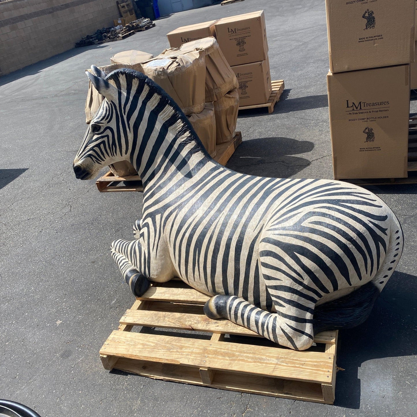 Zebra Resting Life Size Statue