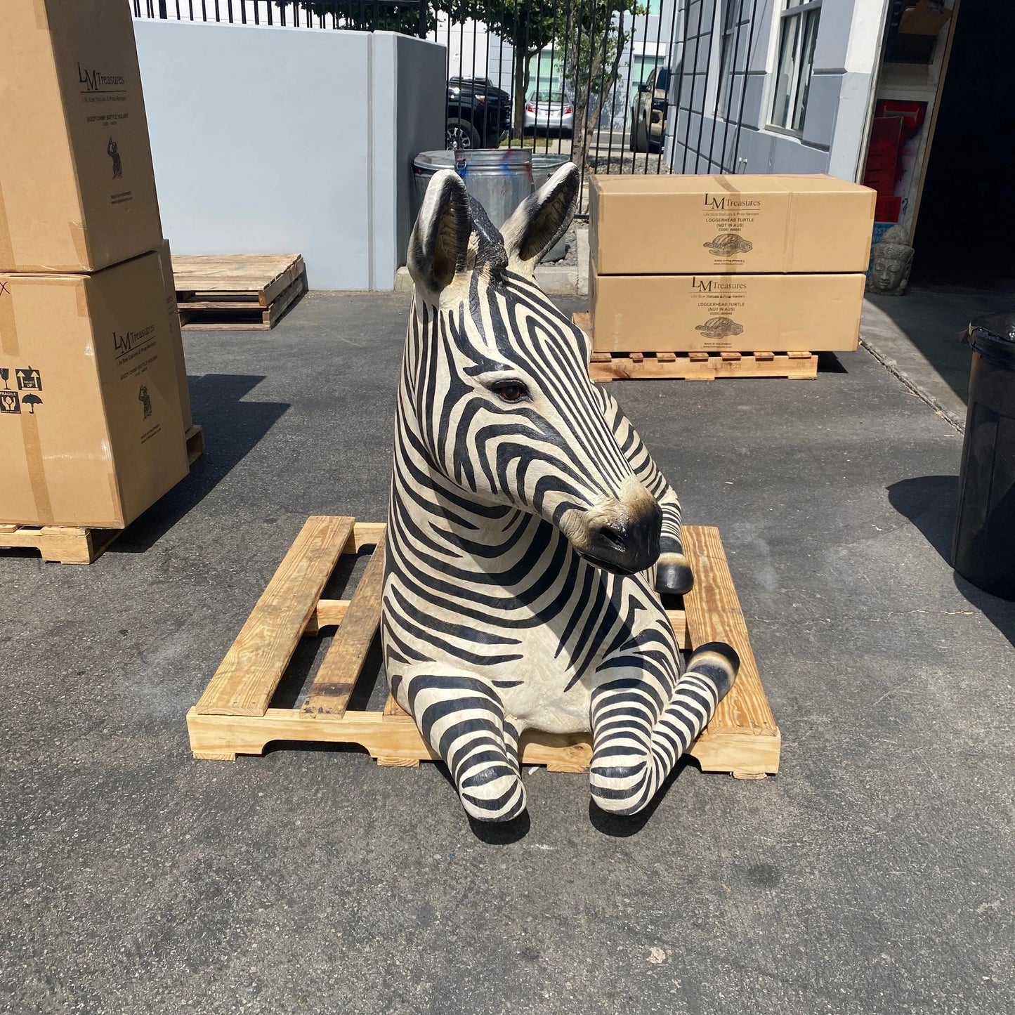 Zebra Resting Life Size Statue