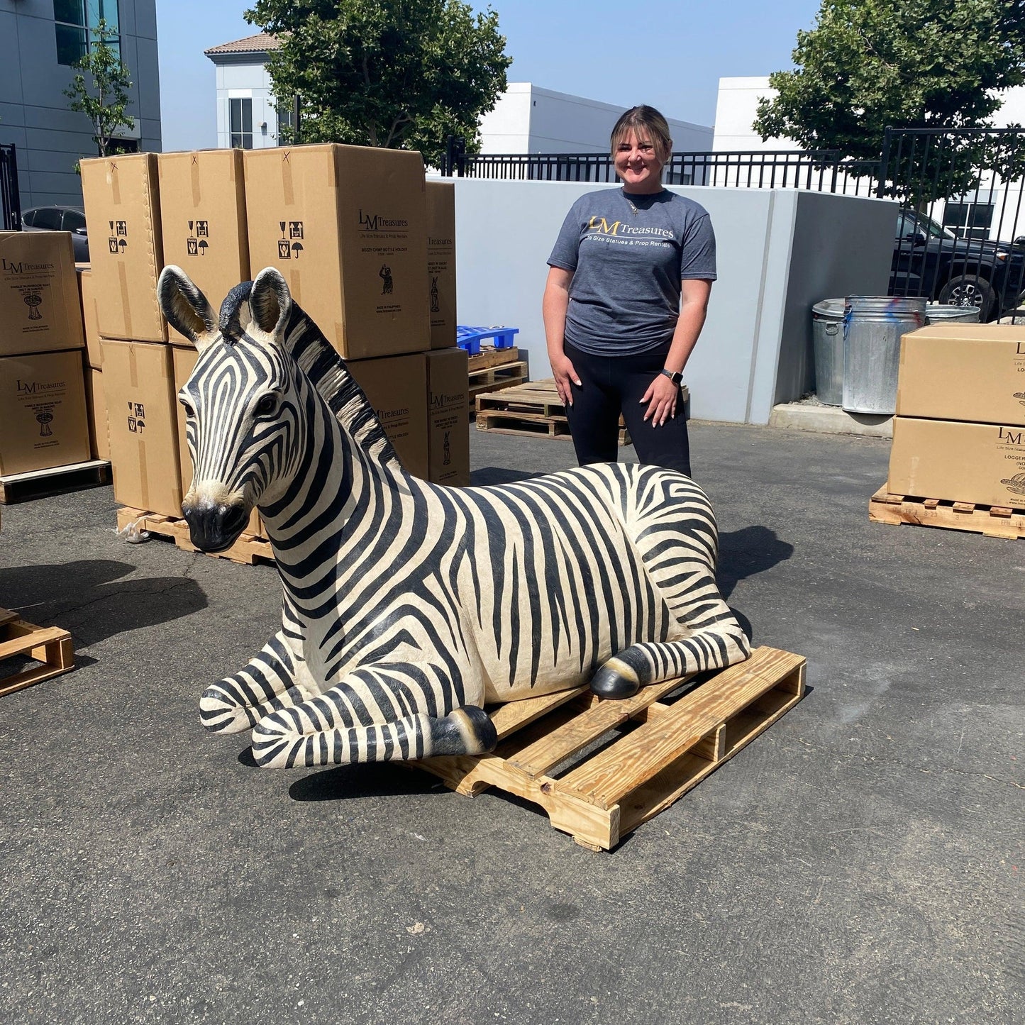 Zebra Resting Life Size Statue