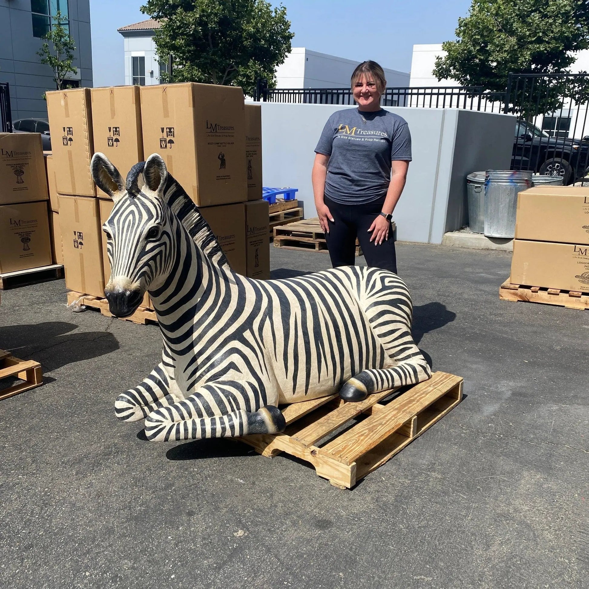 Zebra Resting Life Size Statue A0316-120057-H