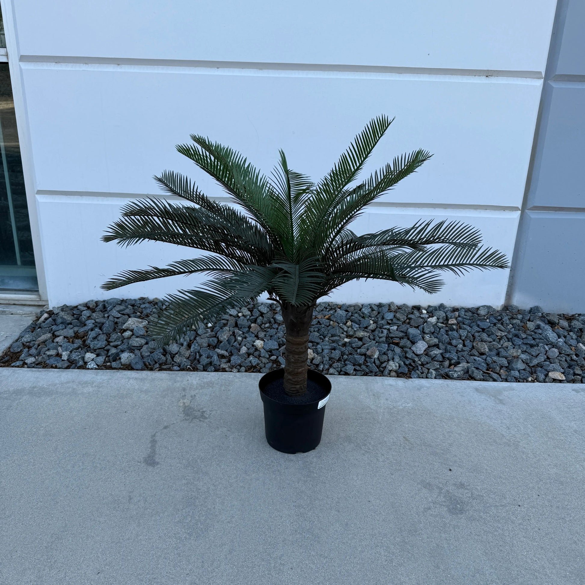 Mini Palm Tree Palm-3