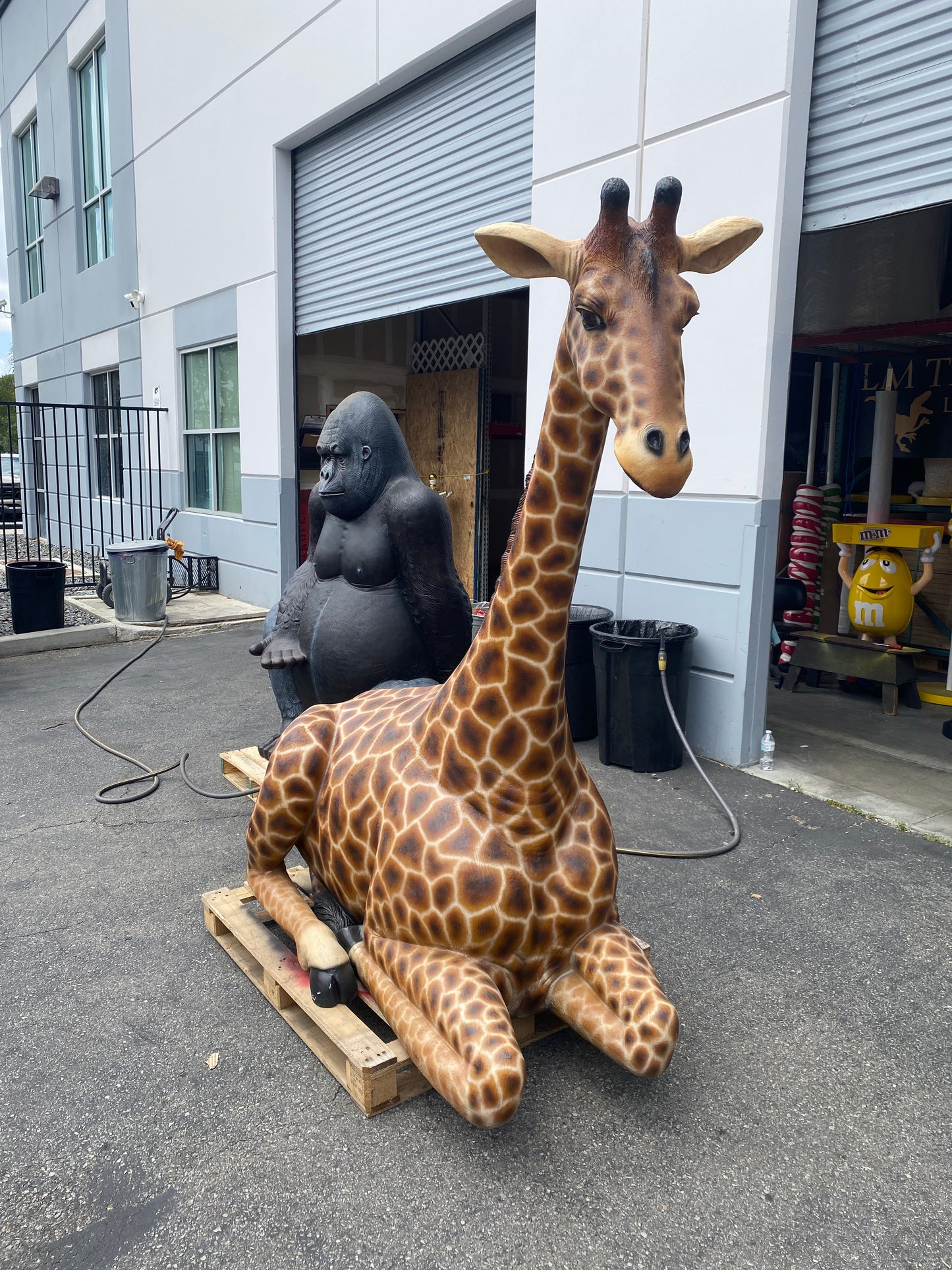 Large Laying Giraffe Statue
