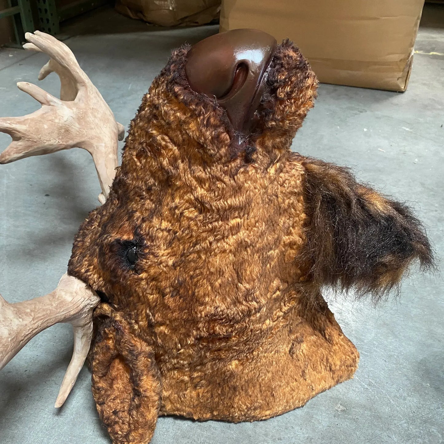 Moose Head Statue A0030-2076-A