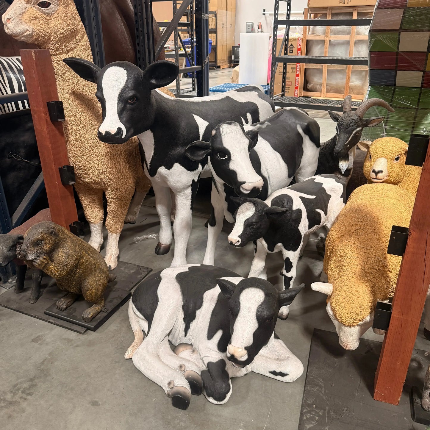 Holstein Calf Statue A0574-R007-PT