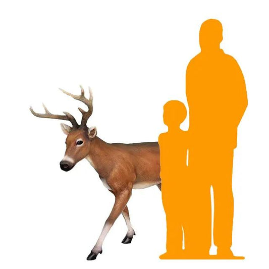 Deer Young Buck Life Size Statue A0572-R001-PT