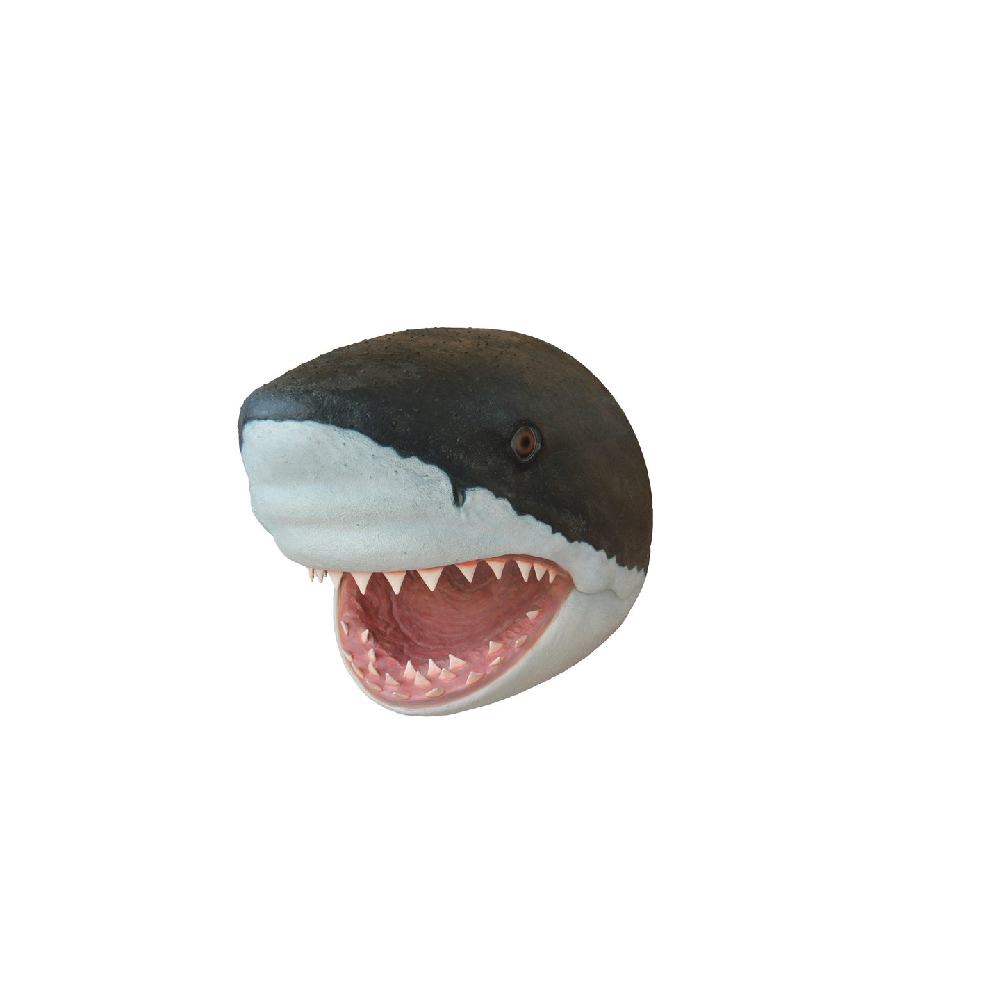 Large Shark Head Statue