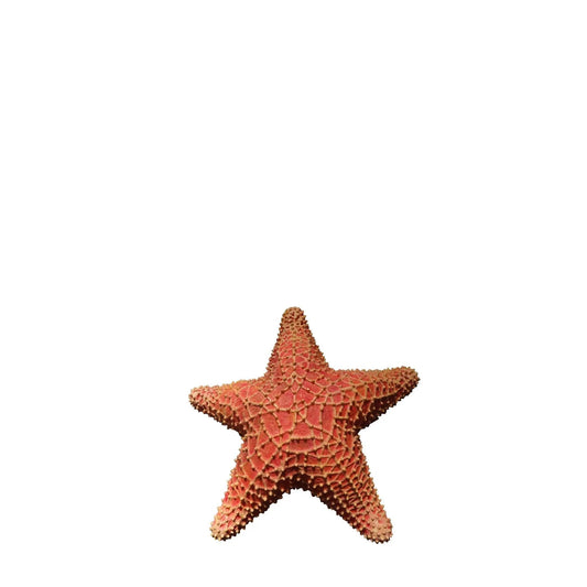 Cushion Starfish Statue - LM Treasures Prop Rentals