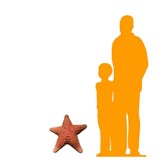 Cushion Starfish Statue A0615-R205-PT