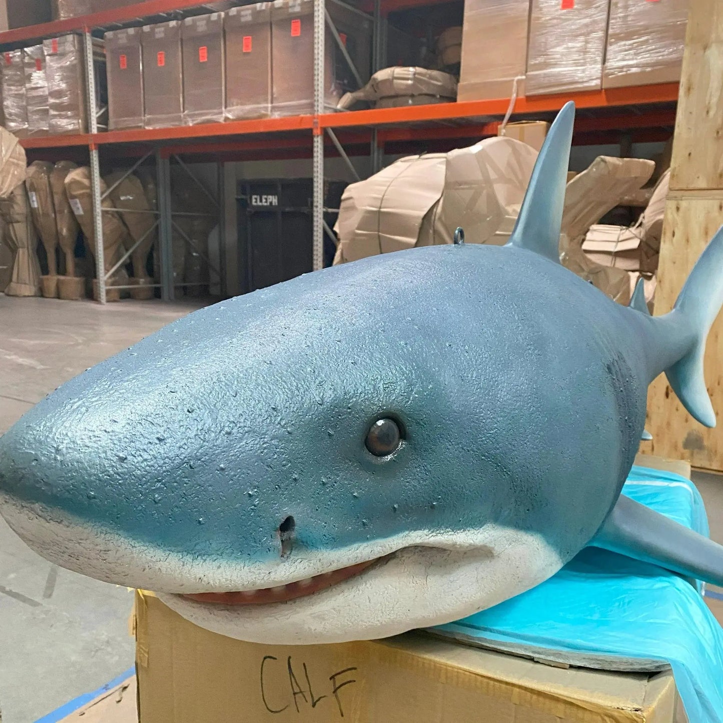 Great White Shark Statue A0579-R024-PT