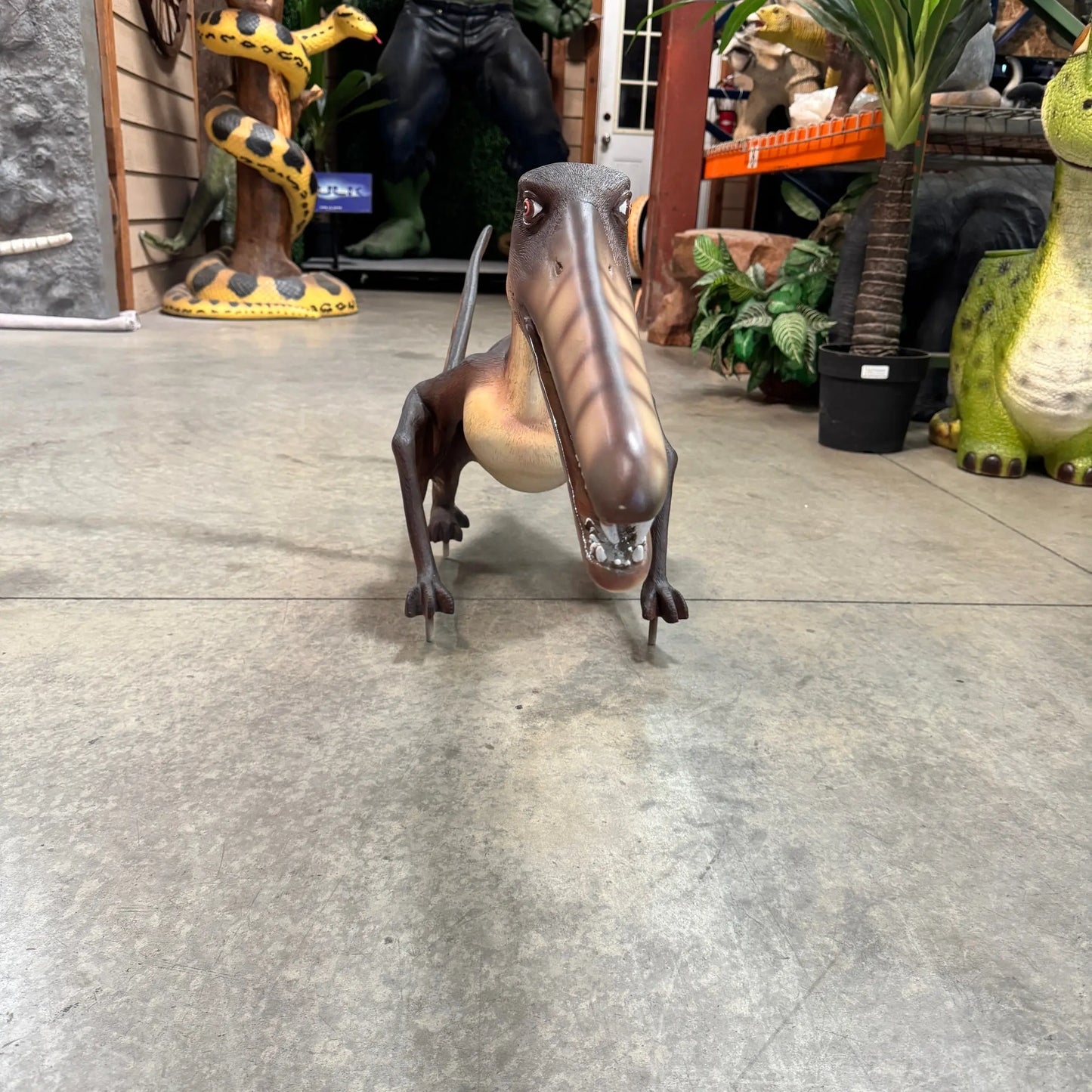 Baby Cearadactylus Bird Dinosaur Statue A0224-R039-PT