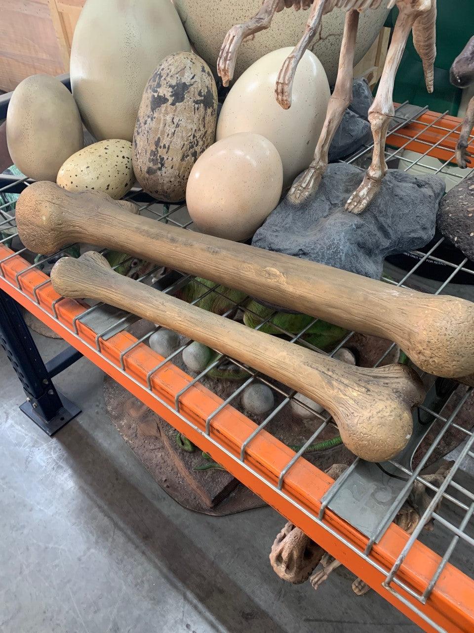 Large Dinosaur Bone Statue