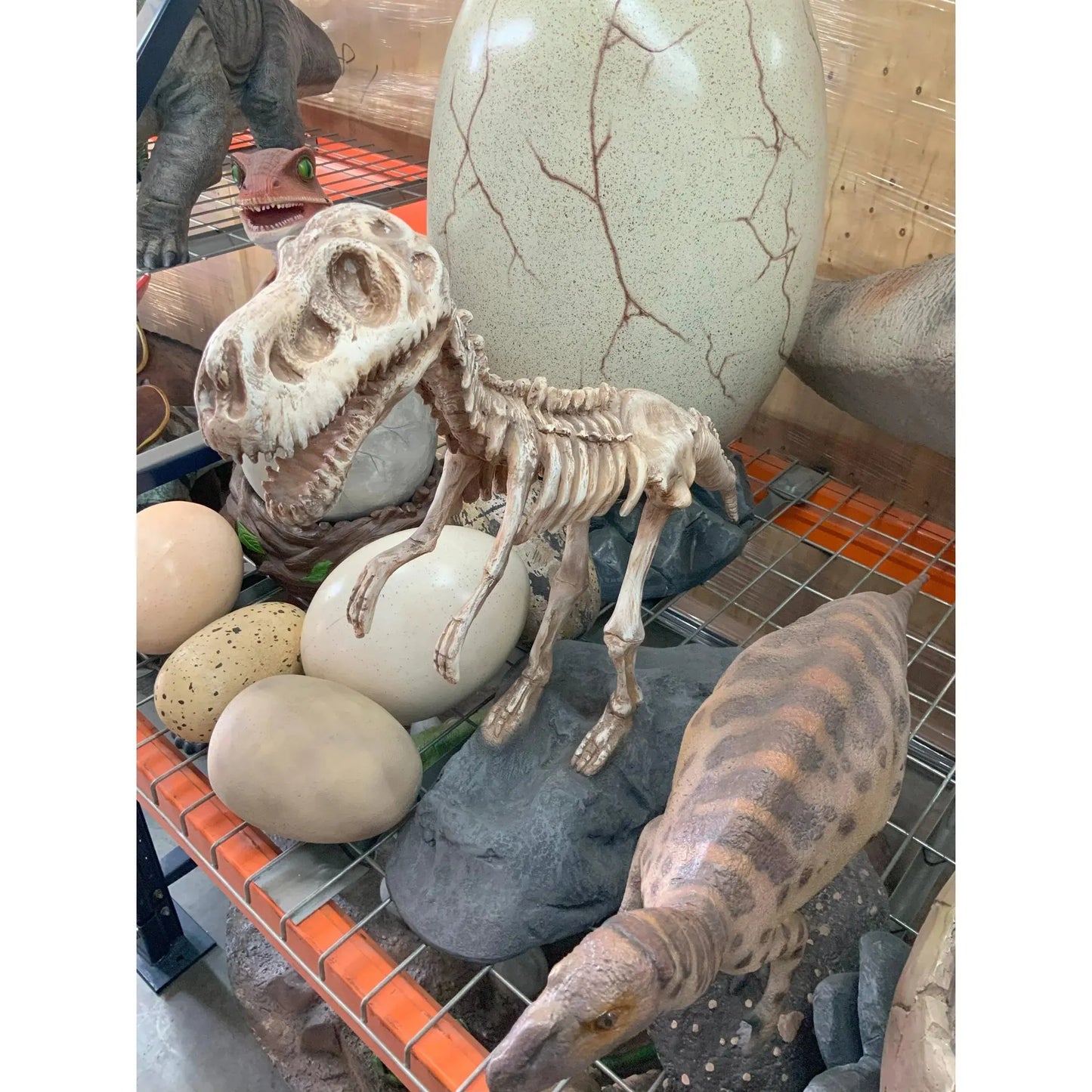 Small T-Rex Dinosaur Skeleton On Base Statue A0586-R047-PT