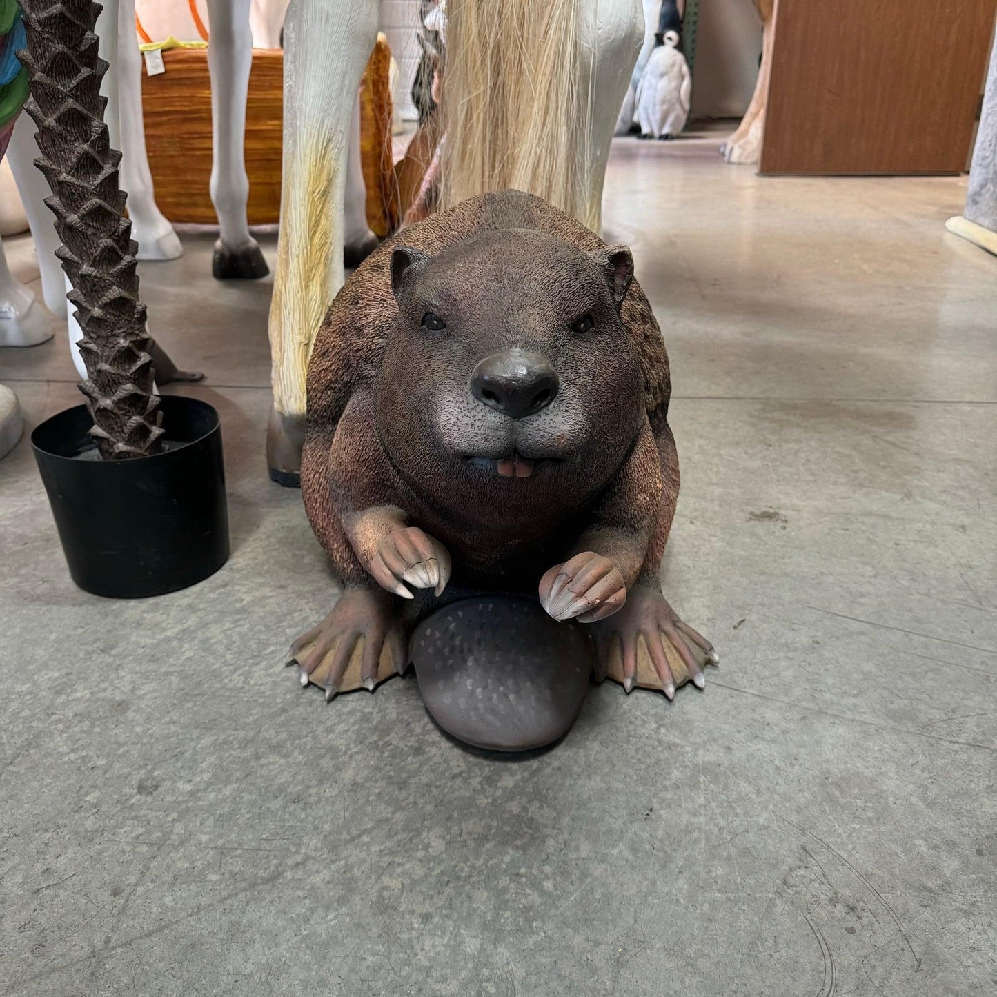 Beaver Rodent Life Size Statue