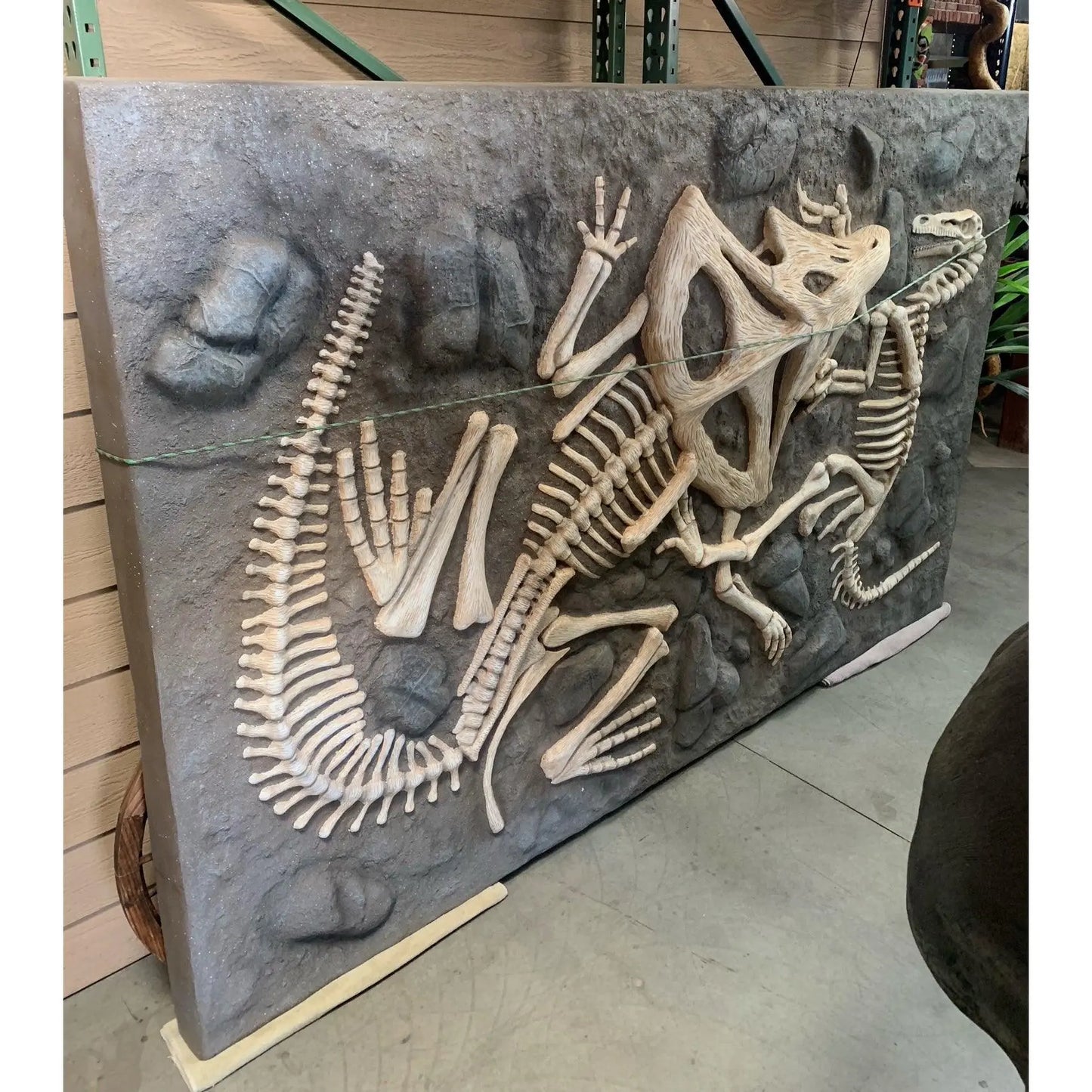 Dinosaur Skeleton Dig Statue A0840-R239-PT