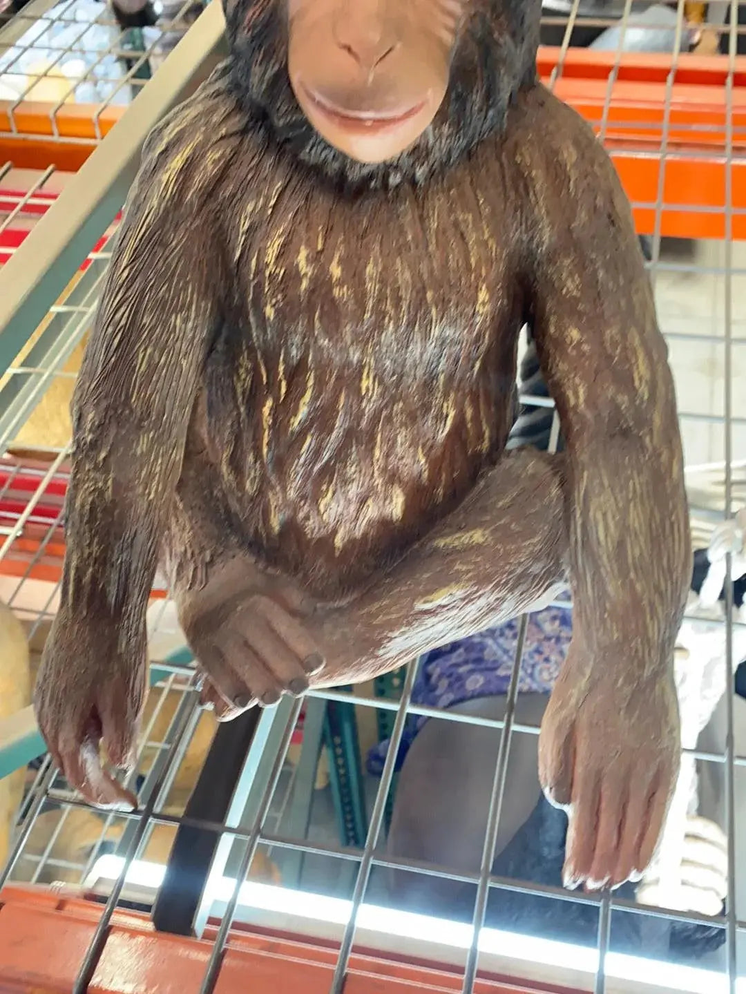 Monkey Hunky Statue A0723-R257-PT